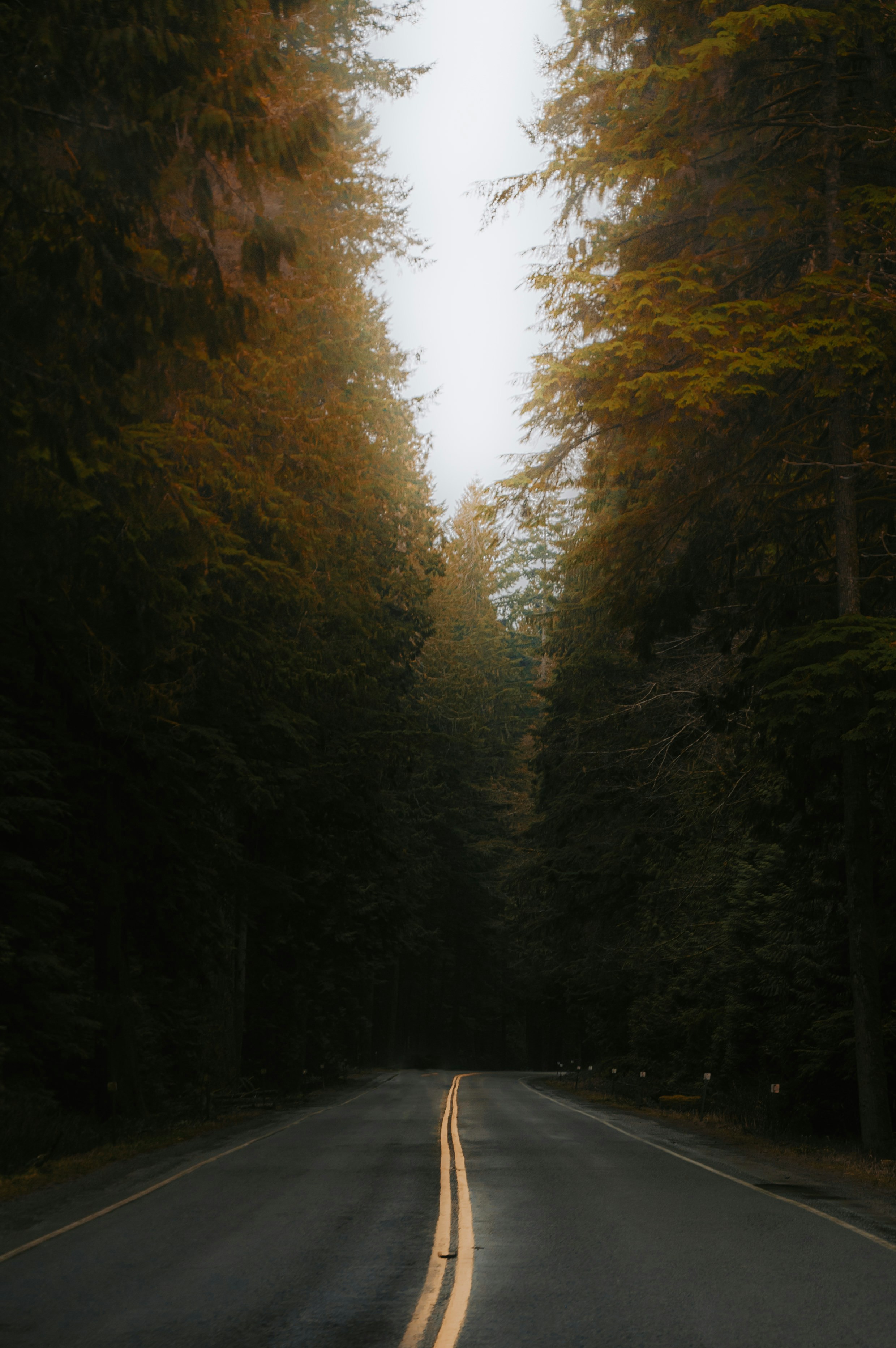 Photo by bylukemiller