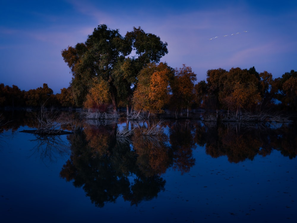 a body of water with trees in the background