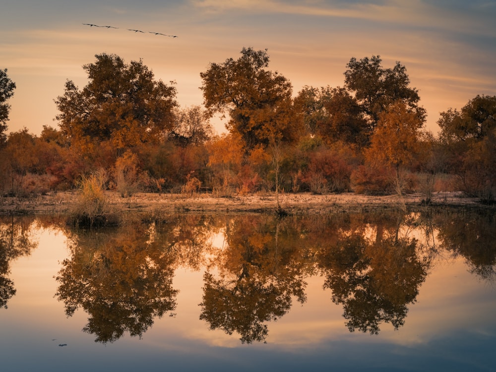 a body of water with trees in the background