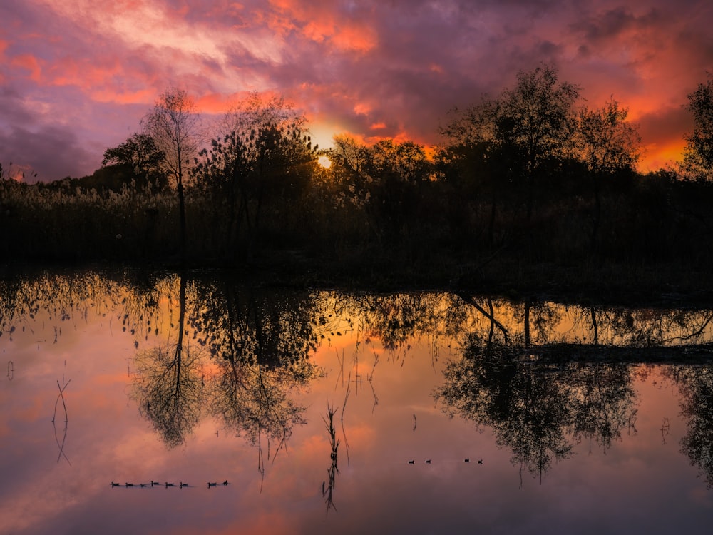 a sunset over a body of water with trees in the background