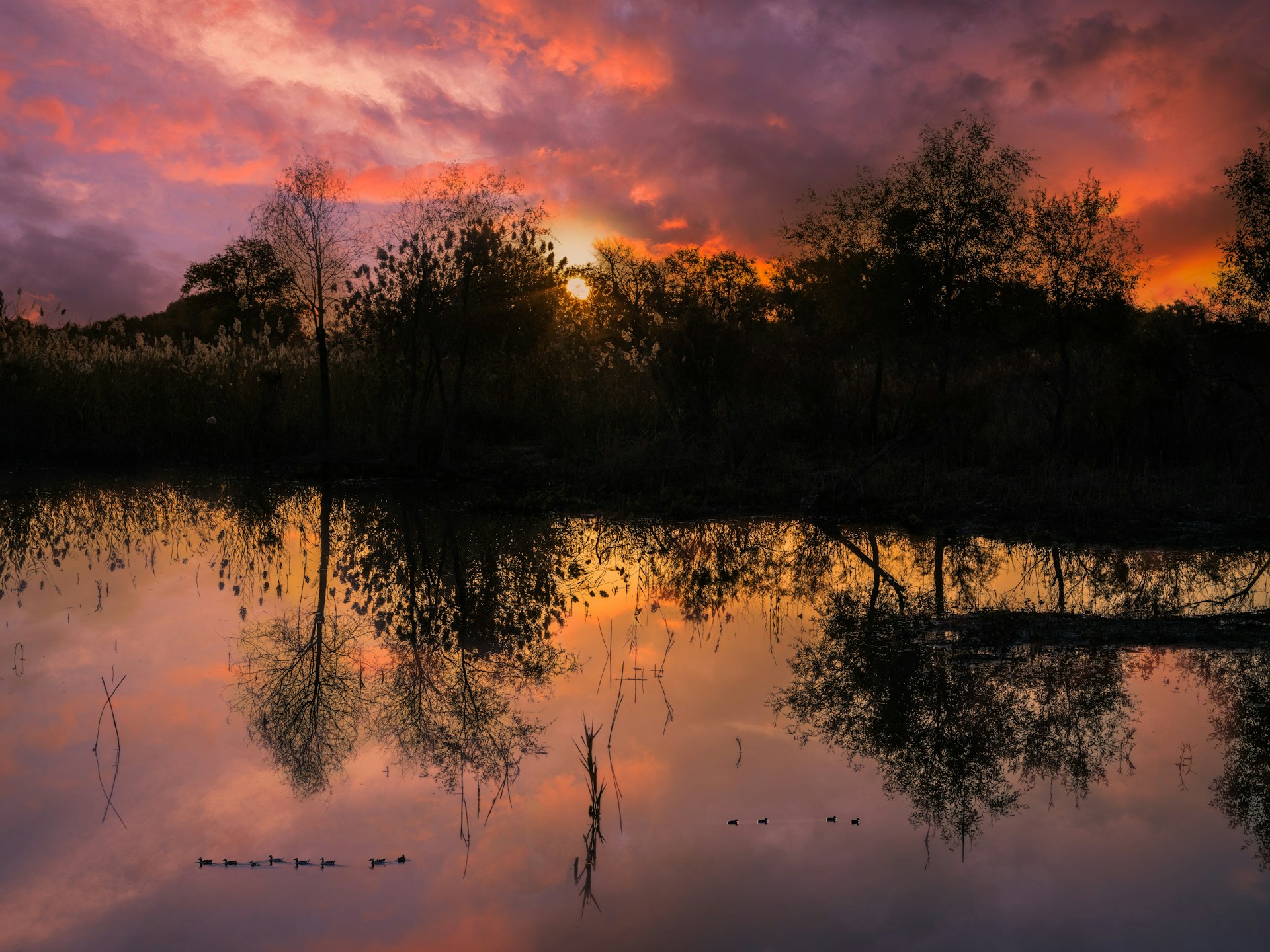 A scenic view of a sunset over a tranquil lake, capturing a moment of peace and reflection.