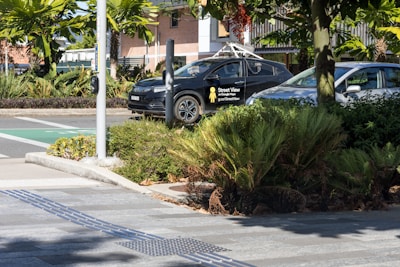 A landscaped urban area with a pedestrian walkway lined with textured paving stones, surrounded by lush greenery and tropical plants. Two cars are parked on the street, one of which is identifiable as a Street View vehicle with a camera mounted on top. The scene includes a streetlight pole and some buildings in the background.