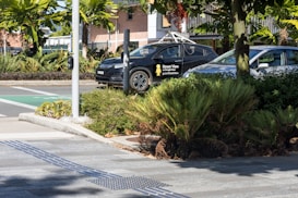 A landscaped urban area with a pedestrian walkway lined with textured paving stones, surrounded by lush greenery and tropical plants. Two cars are parked on the street, one of which is identifiable as a Street View vehicle with a camera mounted on top. The scene includes a streetlight pole and some buildings in the background.