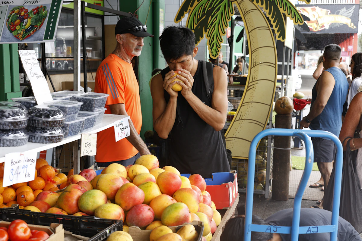A man smelling a mango at a market stall while the stallholder in an orange shirt looks on, handwritten cardboard prices propped among the fruit