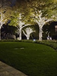 Trees are adorned with strings of glowing white lights, illuminating the scene. They stand along the edge of a neatly trimmed green lawn with a stone path to the side. Two outdoor chairs are visible in the background, suggesting a serene, park-like setting.
