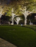 Trees are adorned with strings of glowing white lights, illuminating the scene. They stand along the edge of a neatly trimmed green lawn with a stone path to the side. Two outdoor chairs are visible in the background, suggesting a serene, park-like setting.