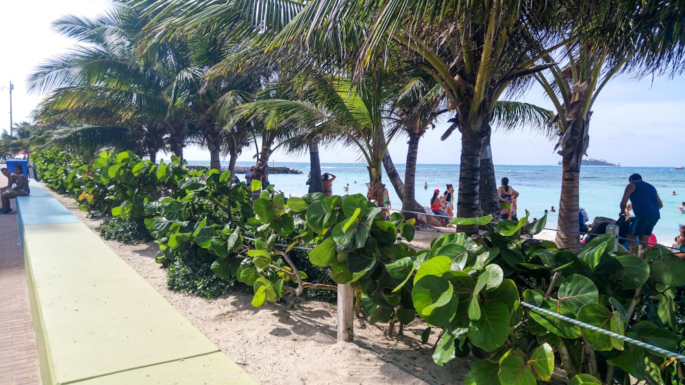 Un grupo de personas de pie en una playa junto al océano