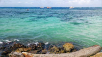 Best Pet-Friendly Hotels and Stays in San Andres for Travelers With Furry Companions