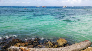 San Andres