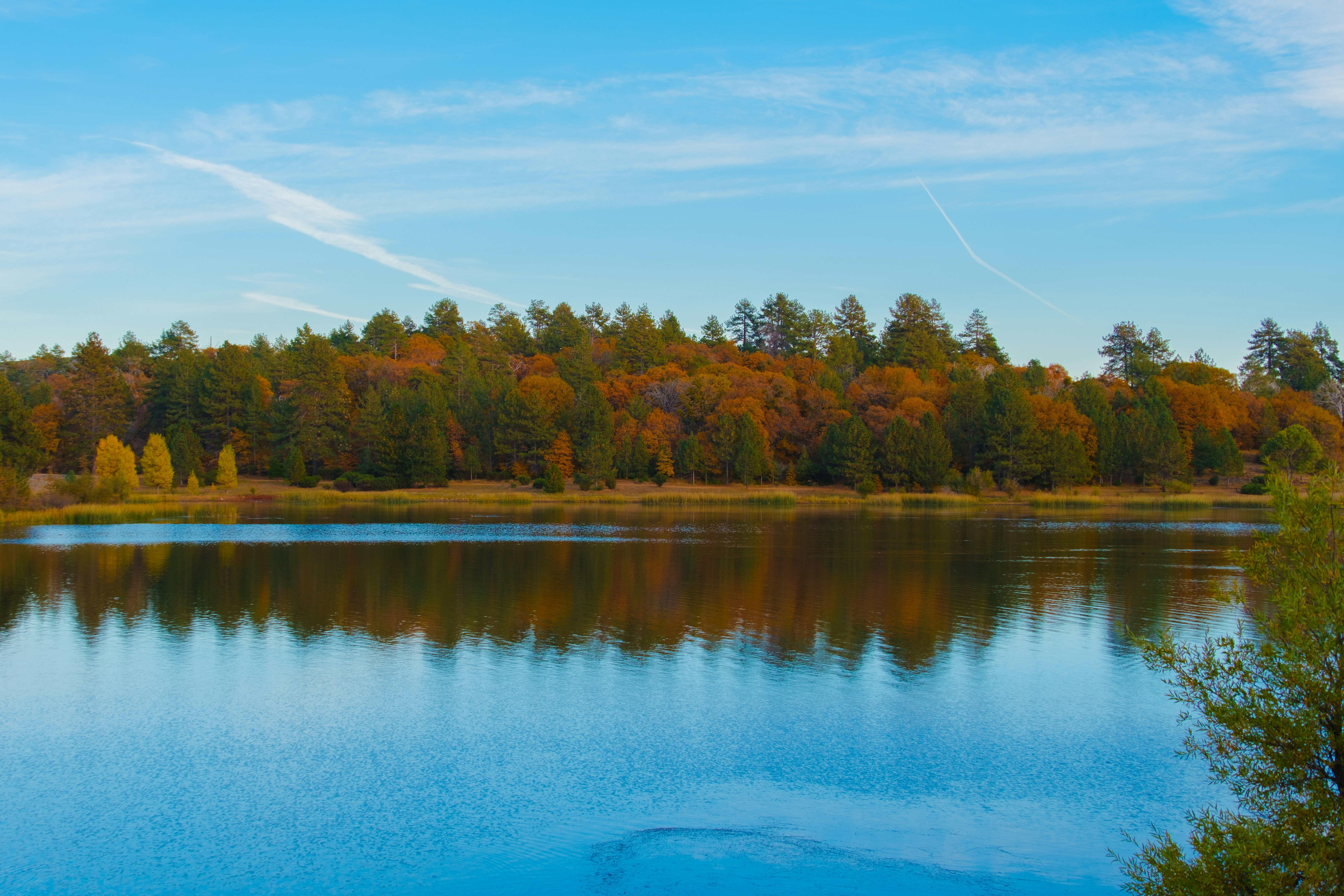 Photo by april_vasquez