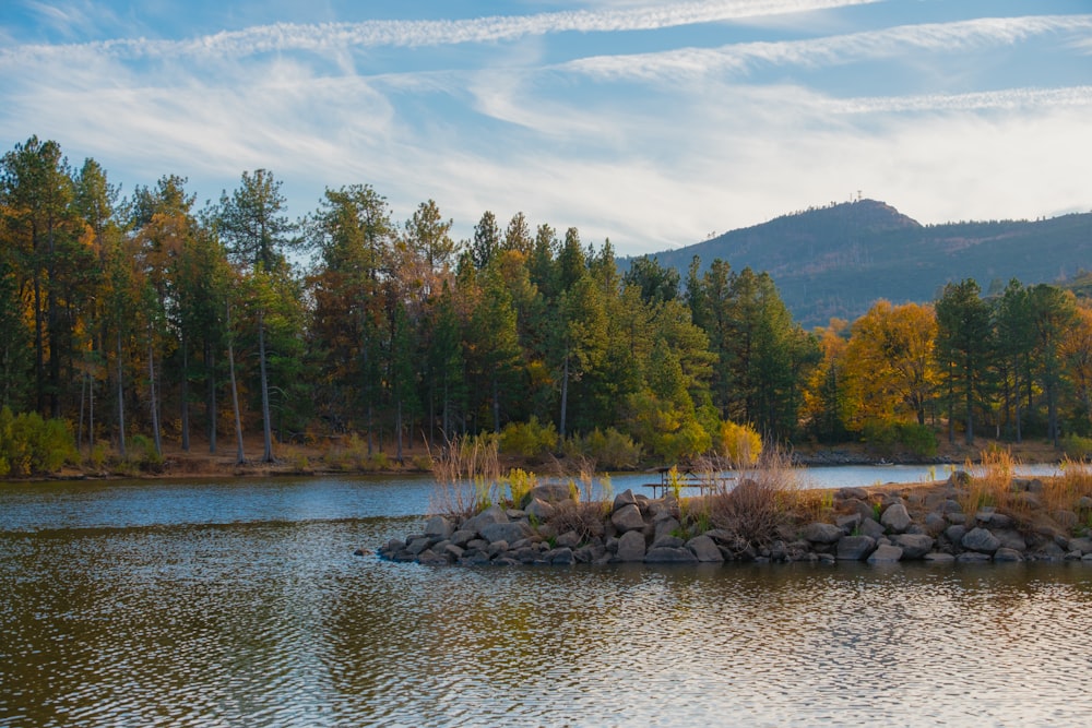 a body of water surrounded by trees and rocks