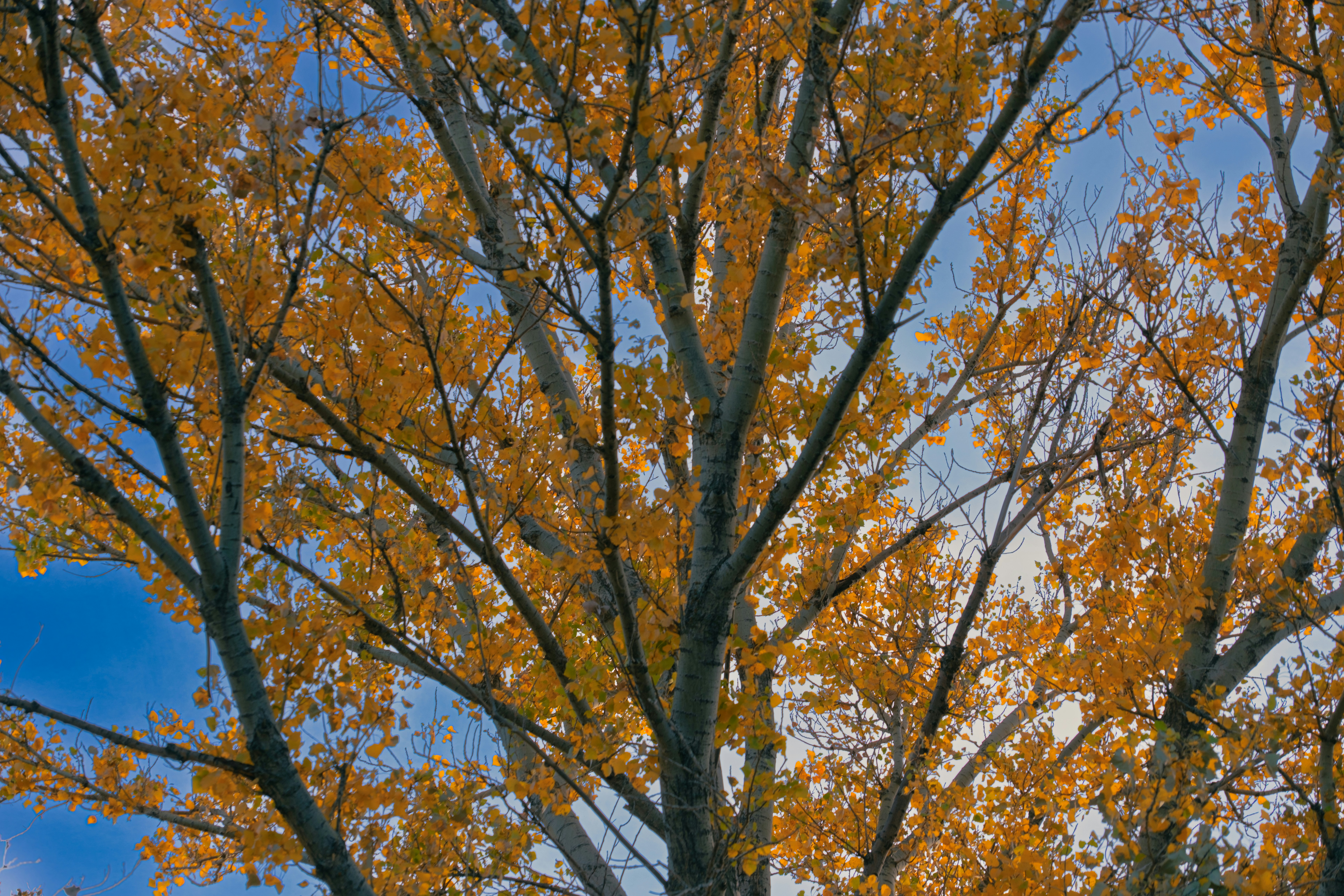 Photo by april_vasquez