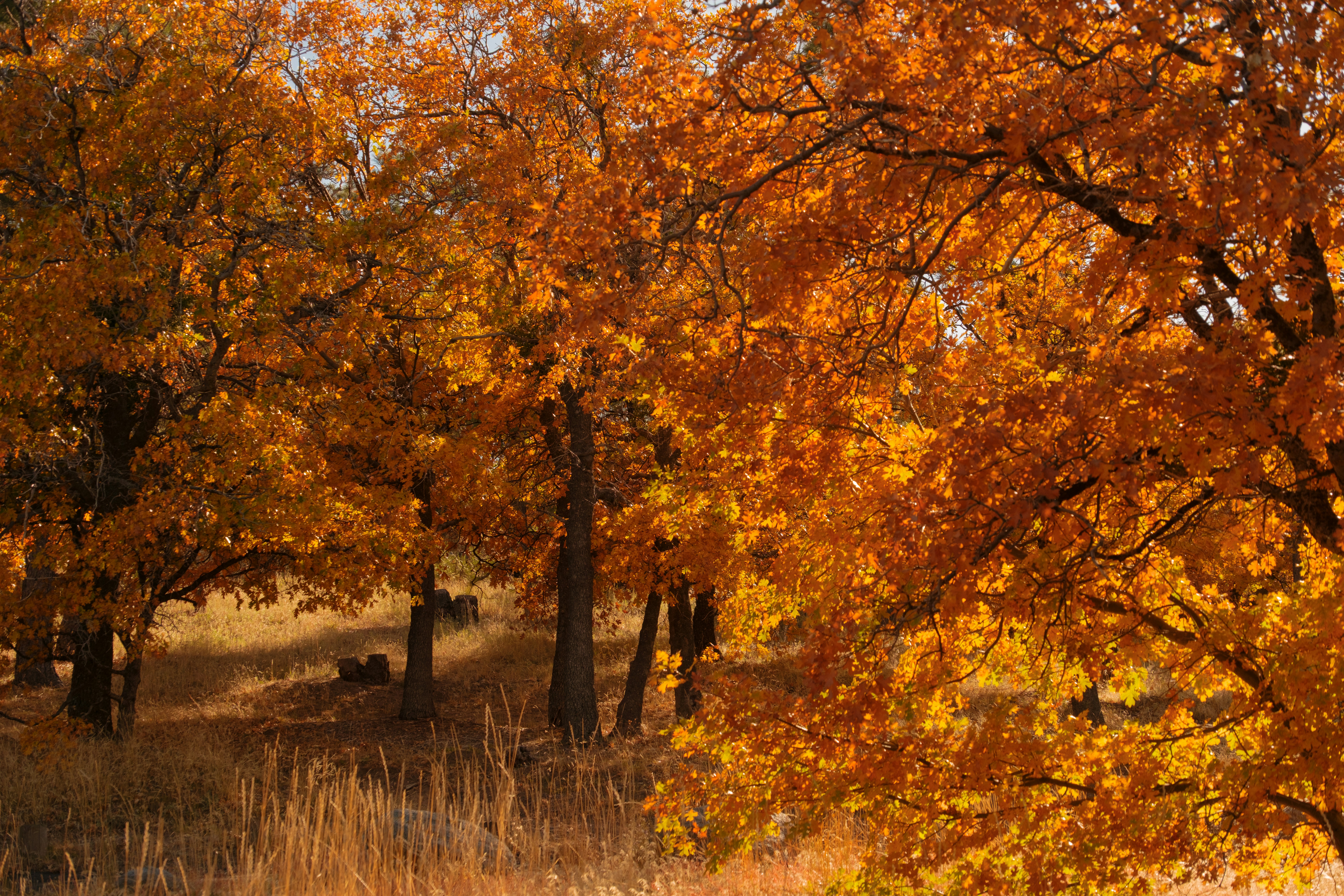 Photo by april_vasquez