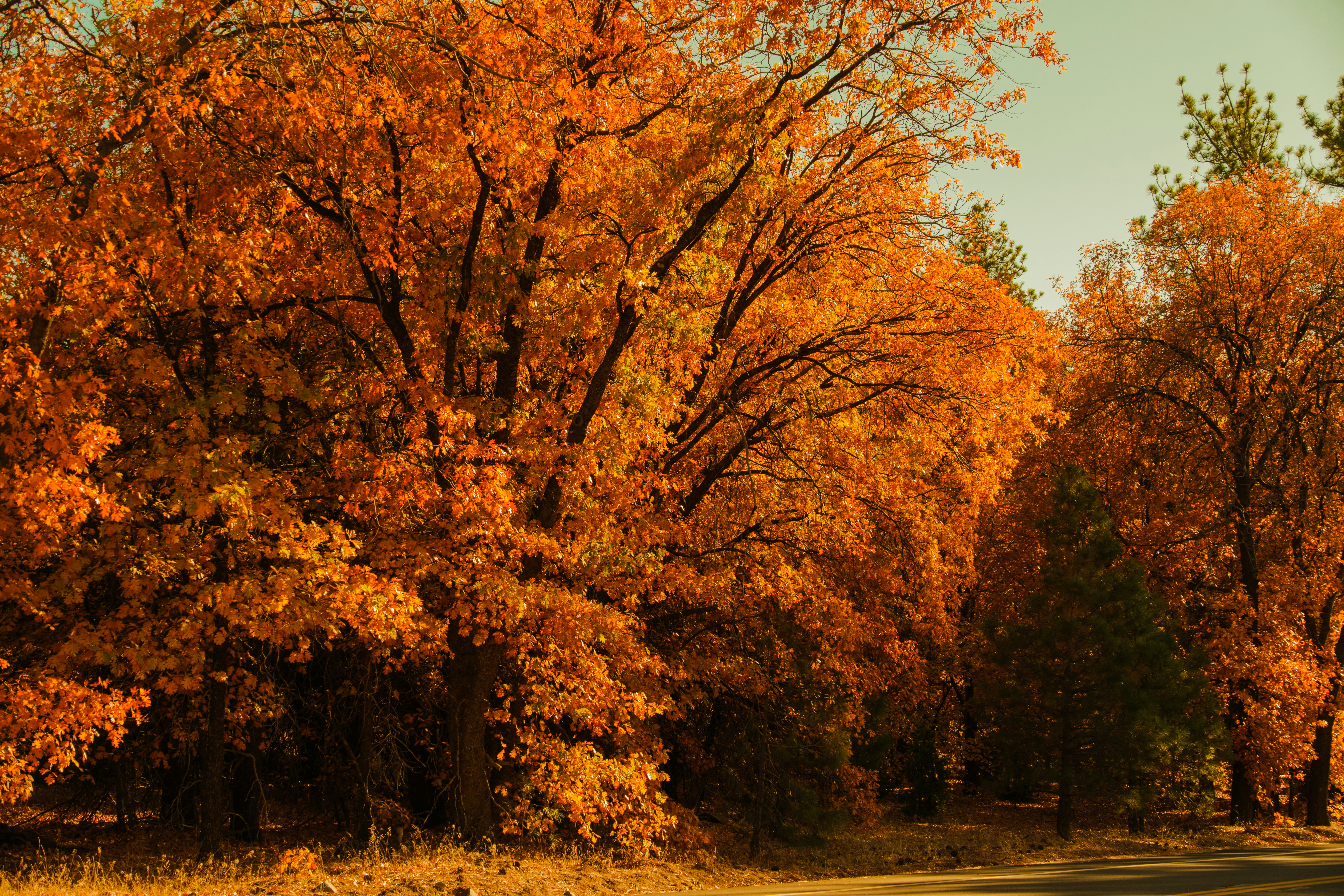 Photo by april_vasquez