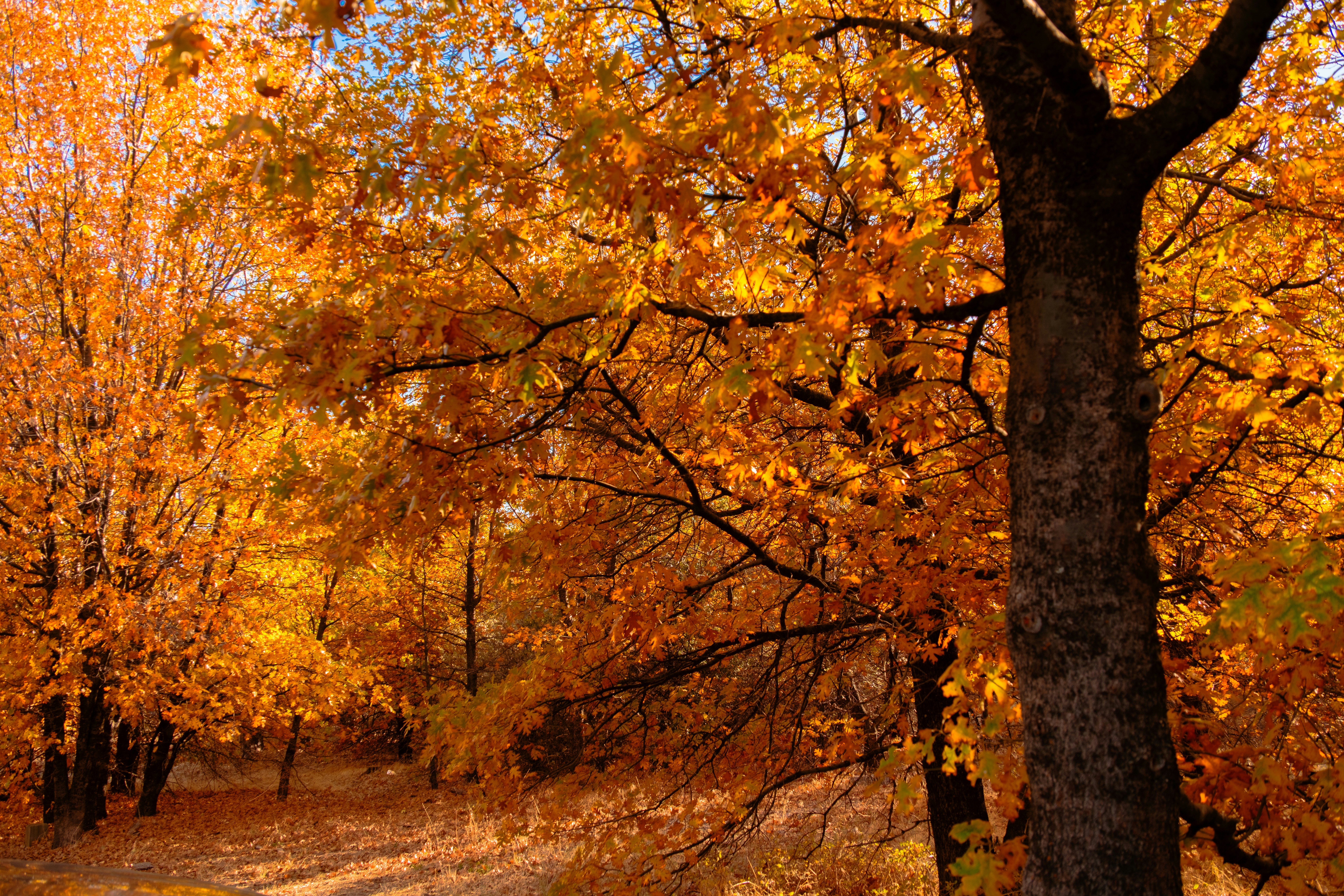 Photo by april_vasquez