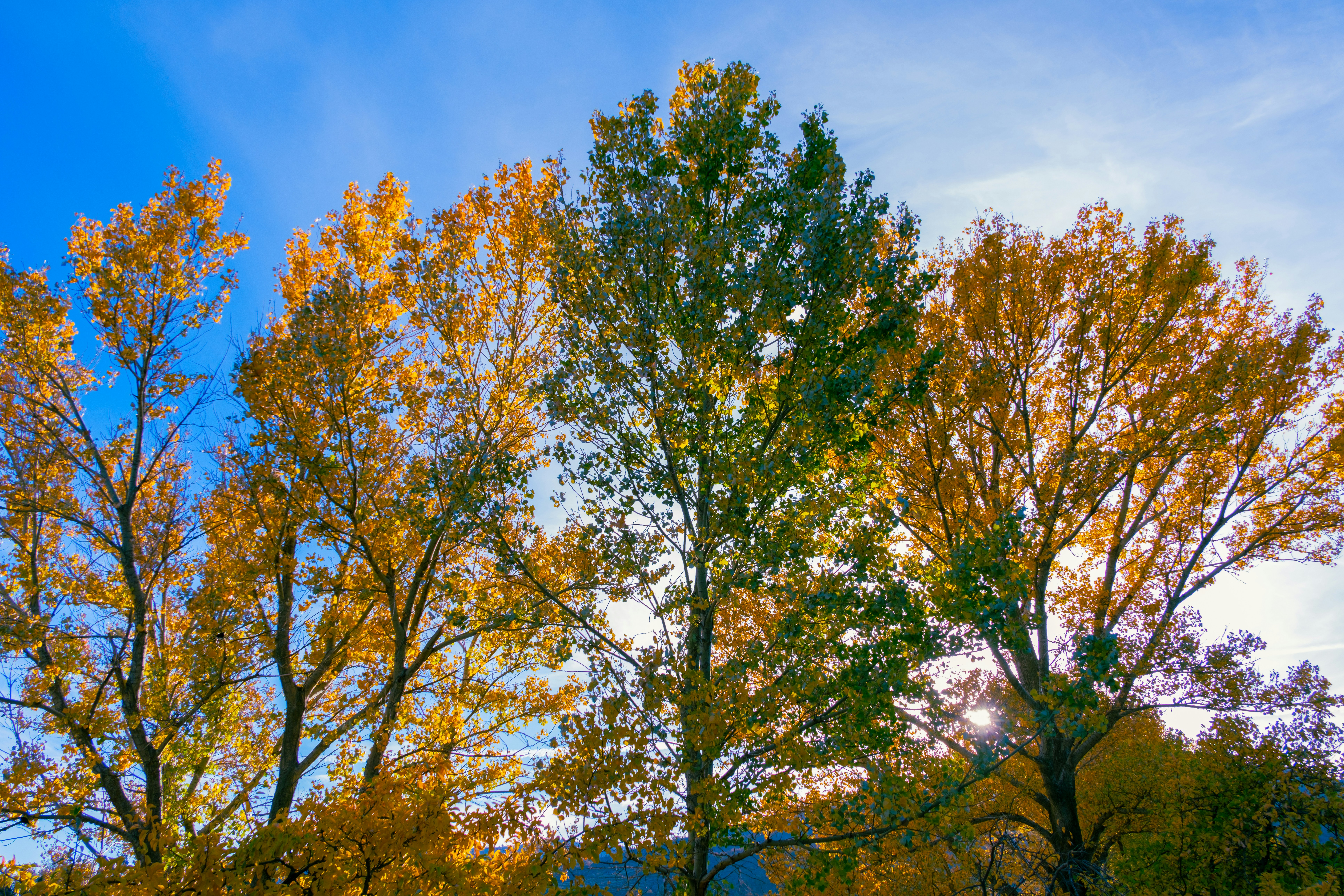 Photo by april_vasquez