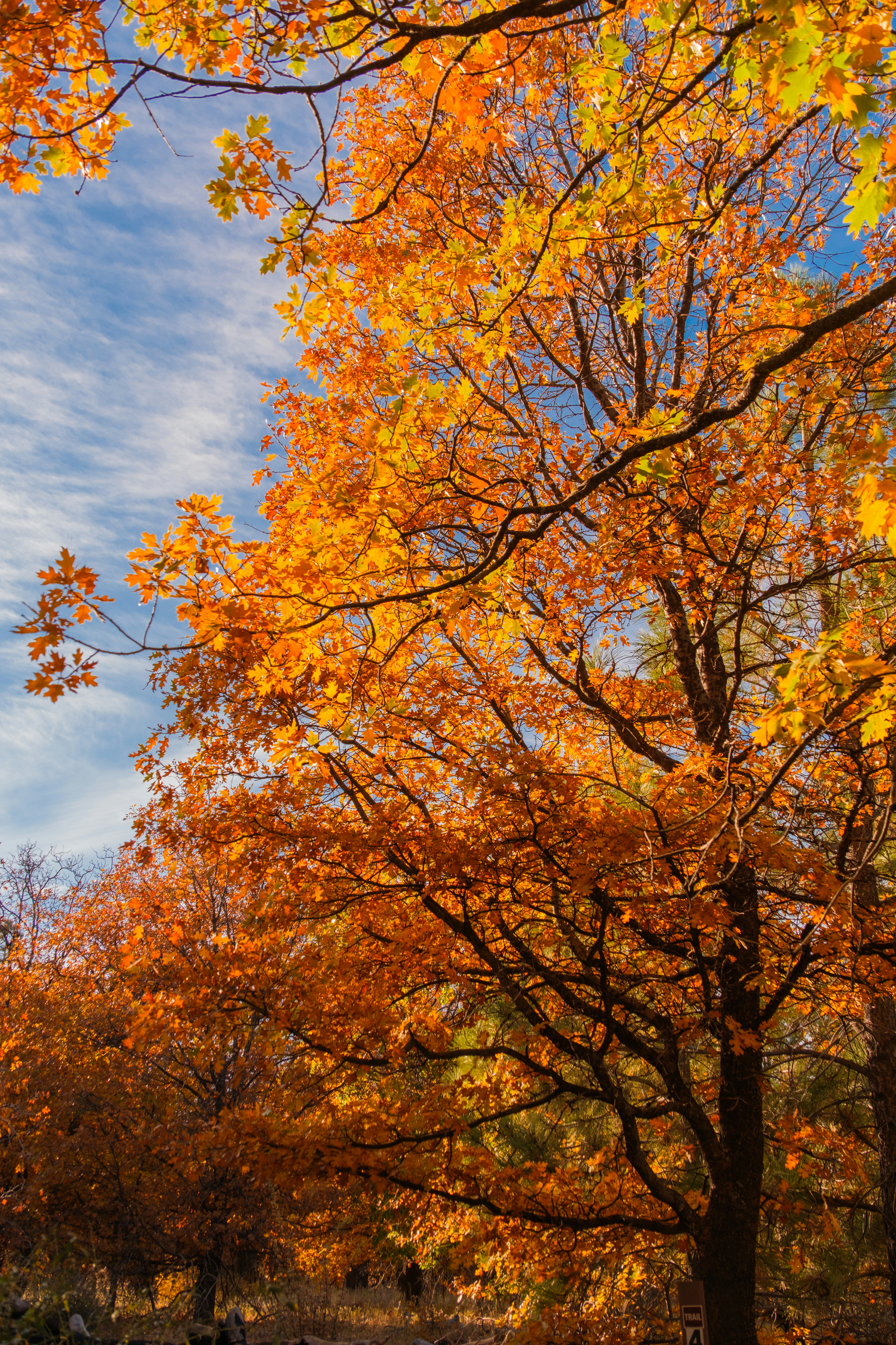 Photo by april_vasquez