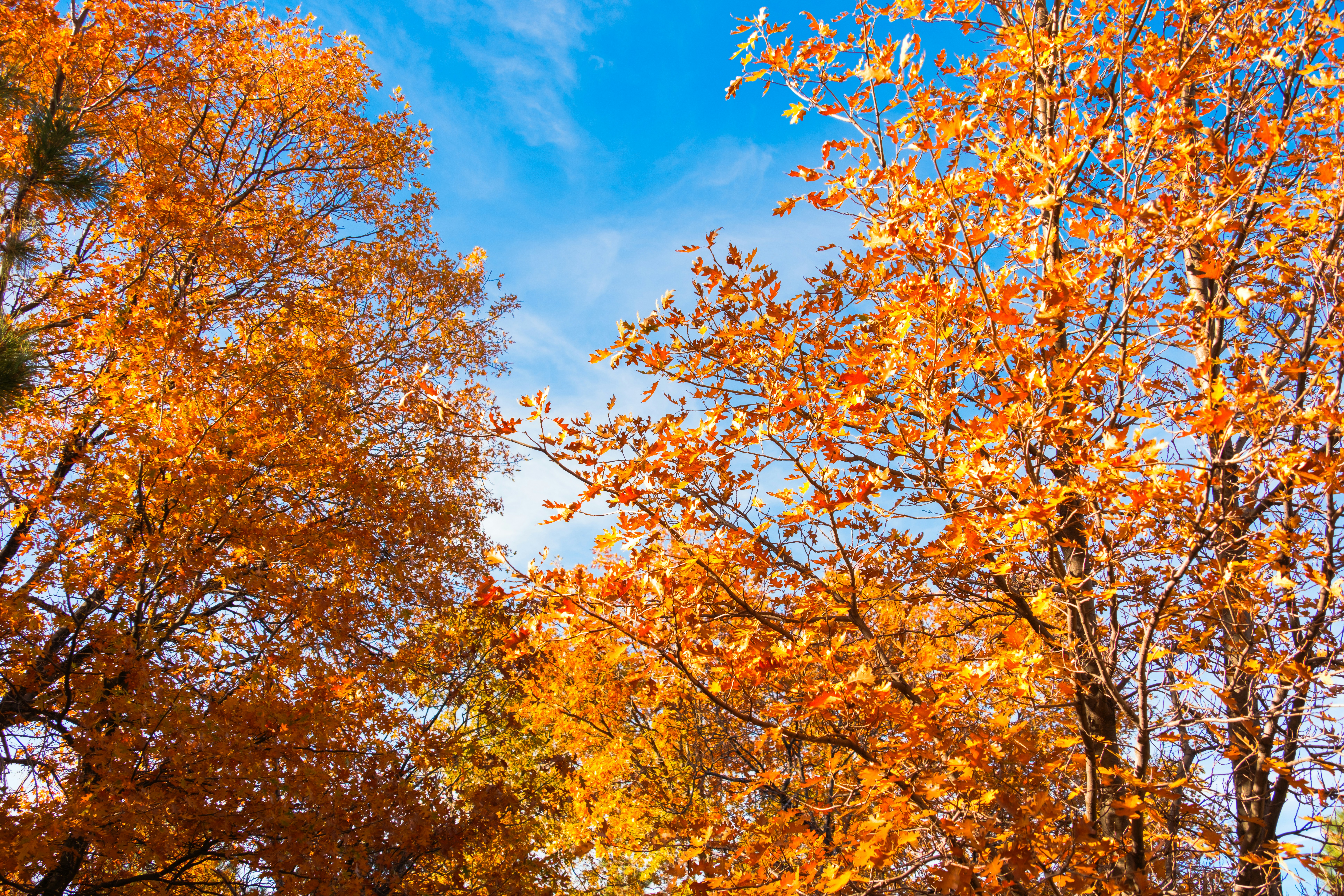 Photo by april_vasquez