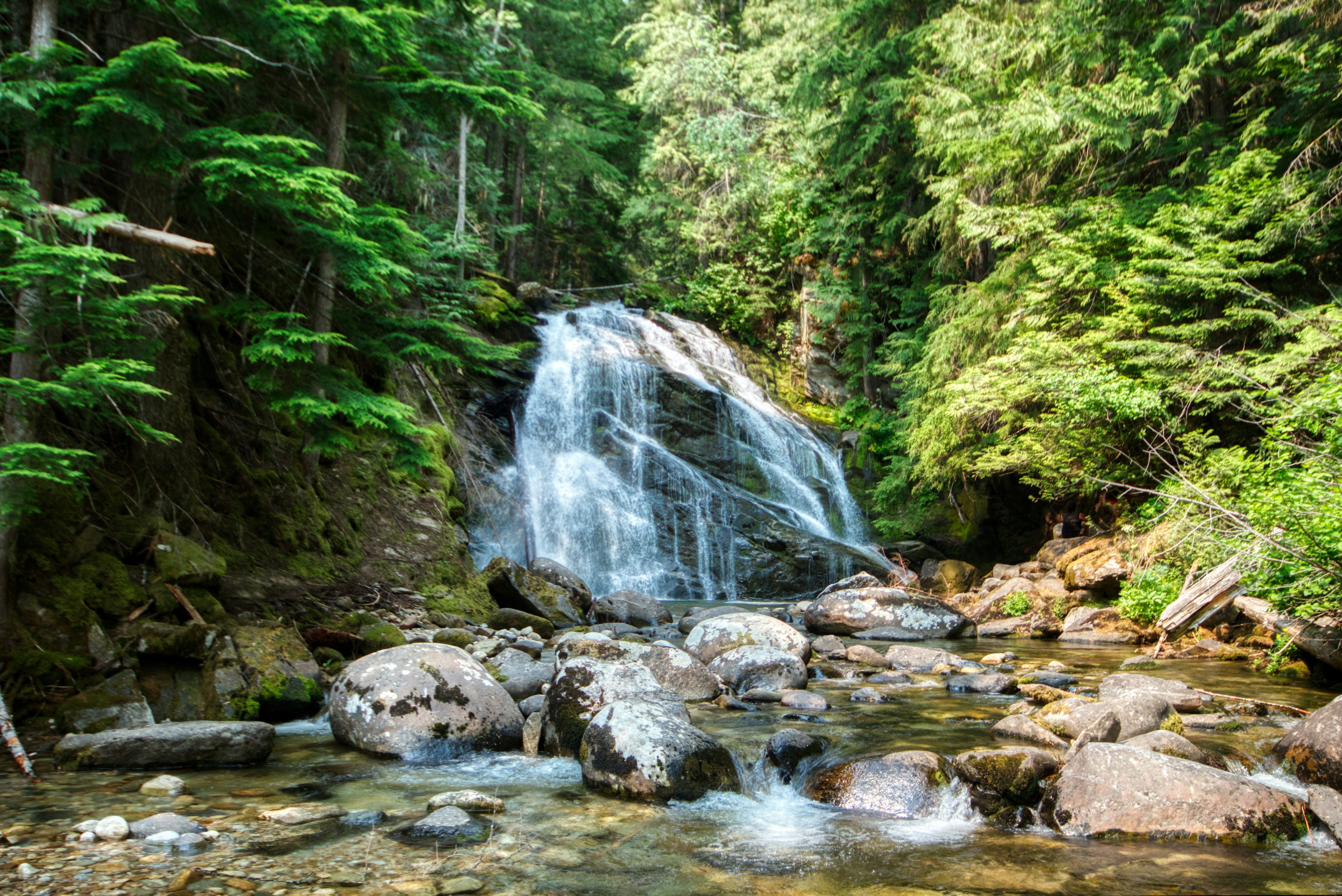 Photo by andrewsphoto2024