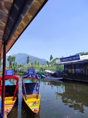 Two colorful boats are moored on a calm body of water. The boats are adorned with vibrant red, blue, and yellow designs. In the background, there is a shop named 'Heaven Dry Fruits' along with lush greenery and distant mountains under a clear blue sky.