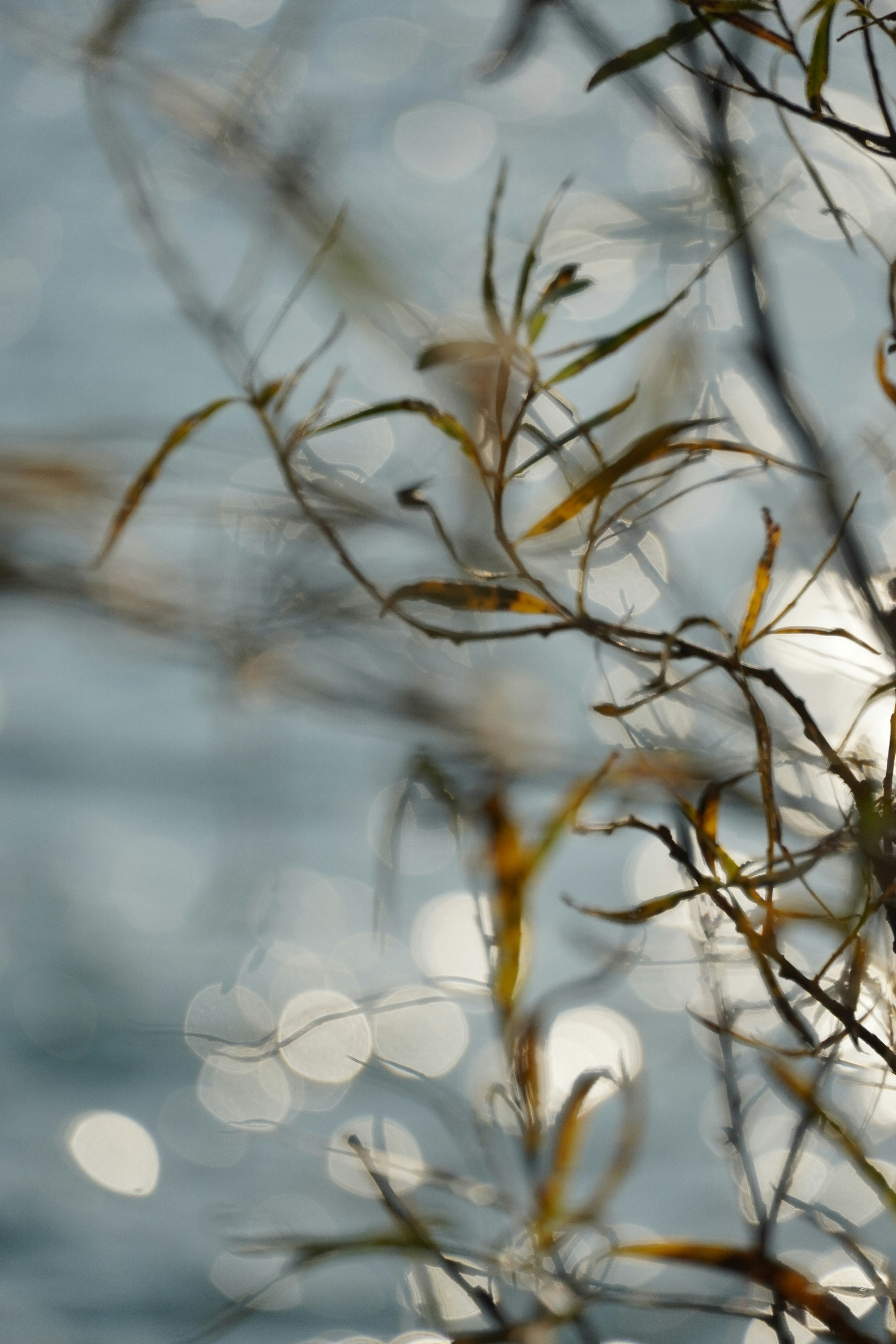 Photo by _yuya_yuya_