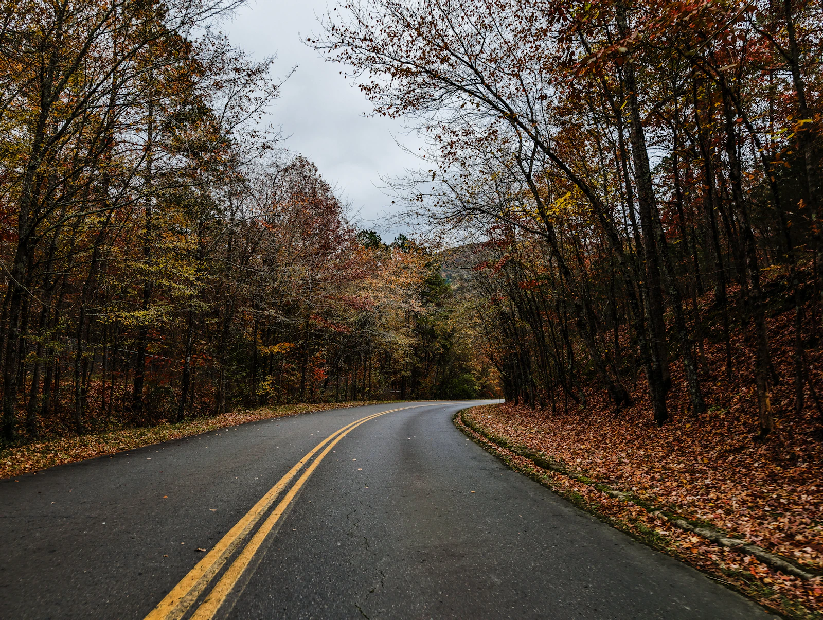An empty two lane road through autumn trees under a gray sky