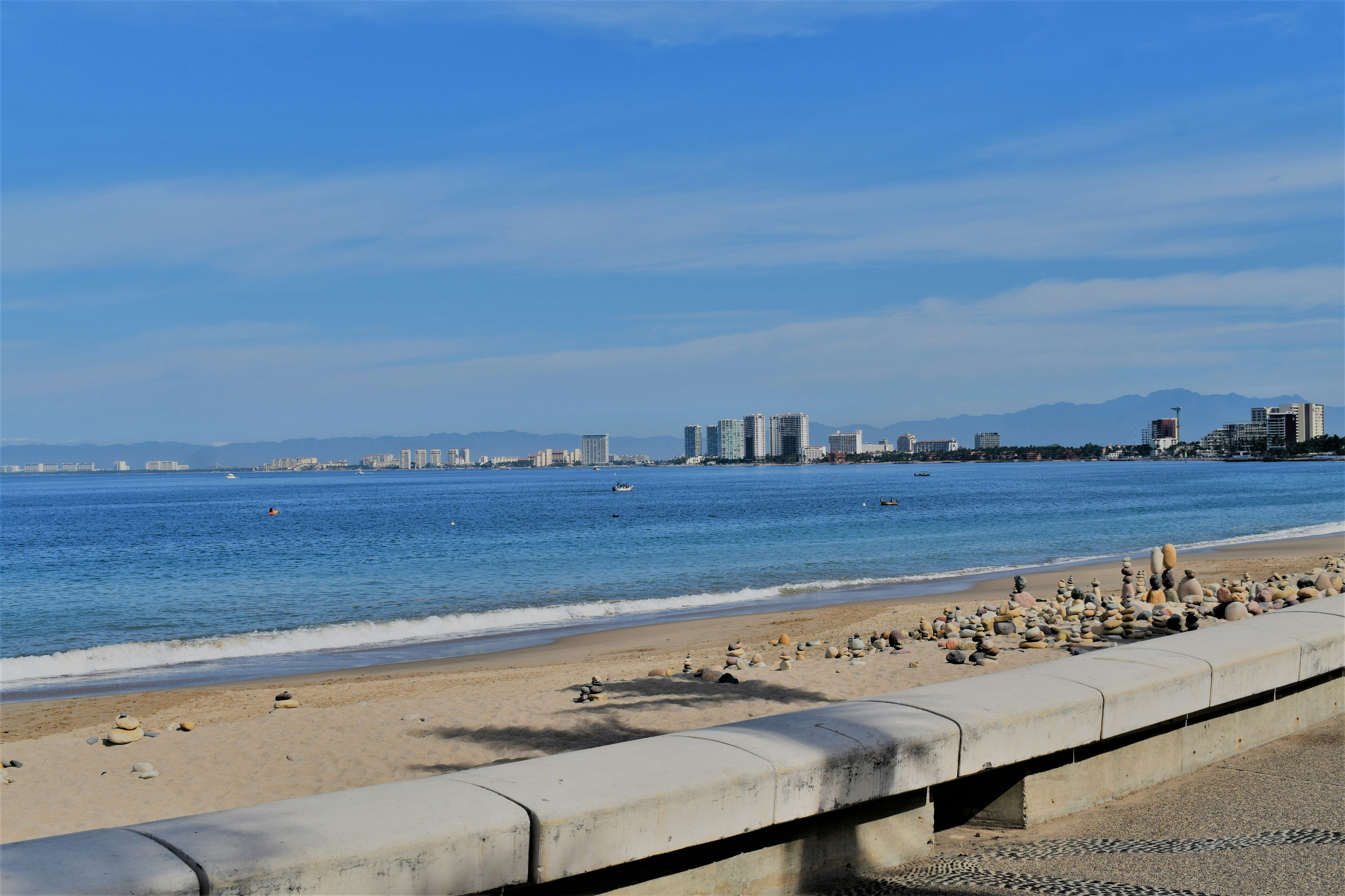 a group of birds standing on the beach next to the ocean