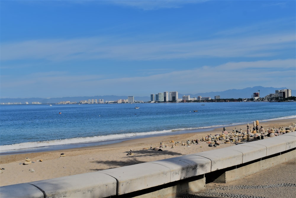 a group of birds standing on the beach next to the ocean