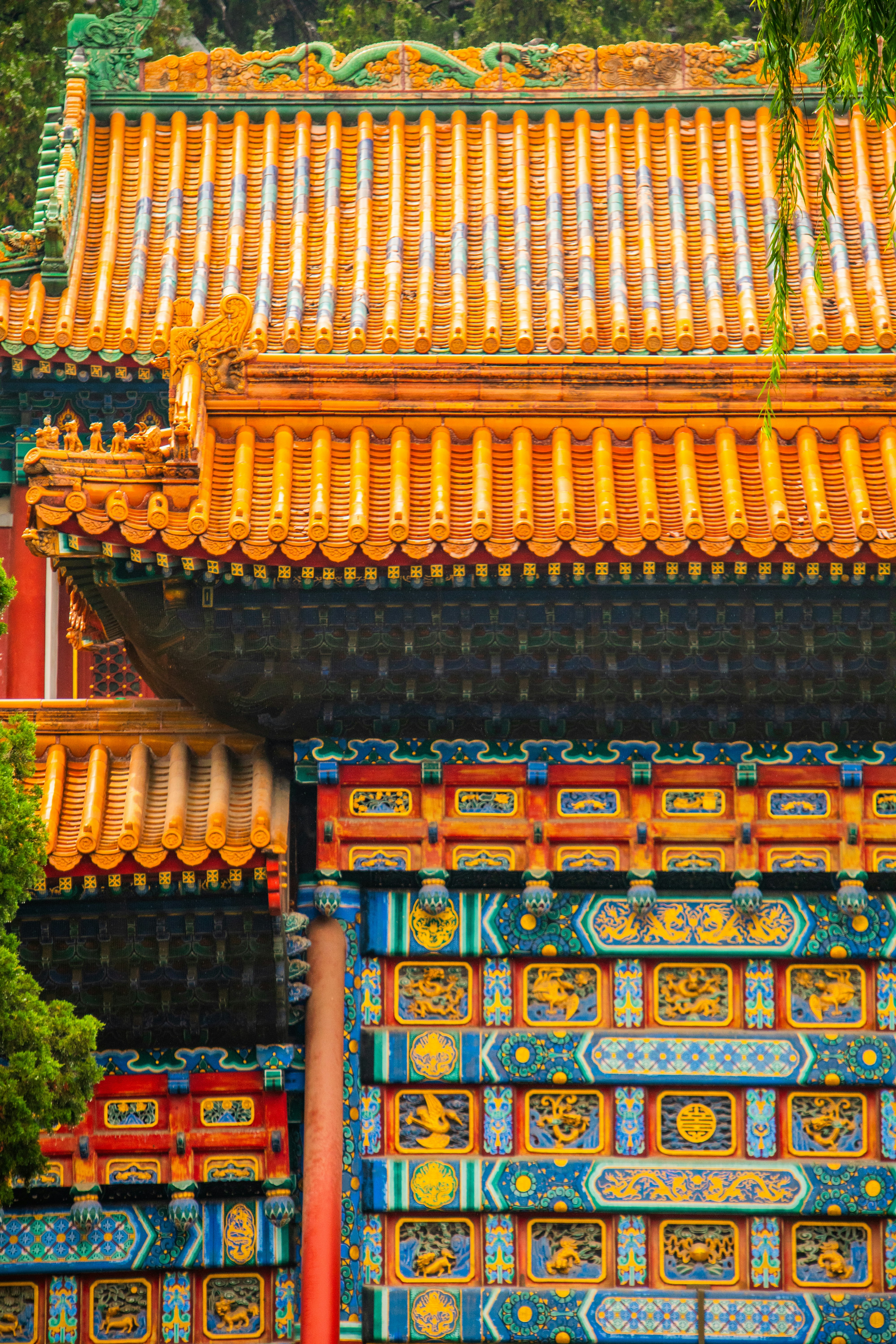 Photo by woomantsing