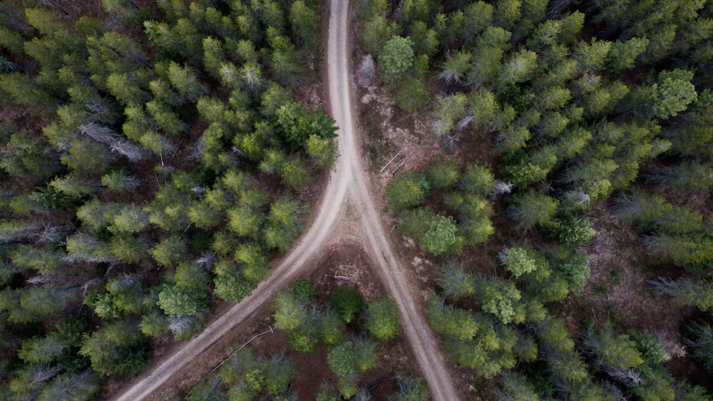 an aerial view of a road in the middle of a forest