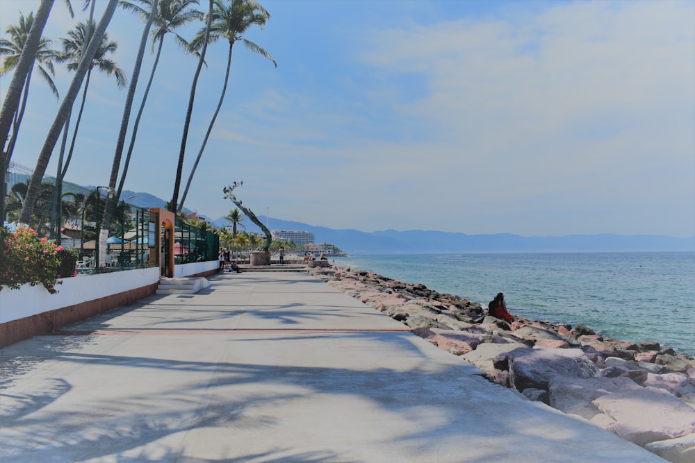 a person sitting on a bench near the ocean