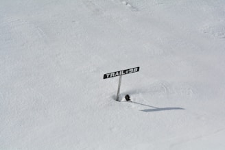 A solitary trail marker labeled 'Trail of 98' stands in a vast expanse of snow. The snow is undisturbed and smooth, suggesting a remote and quiet location. The marker casts a long shadow on the snow.