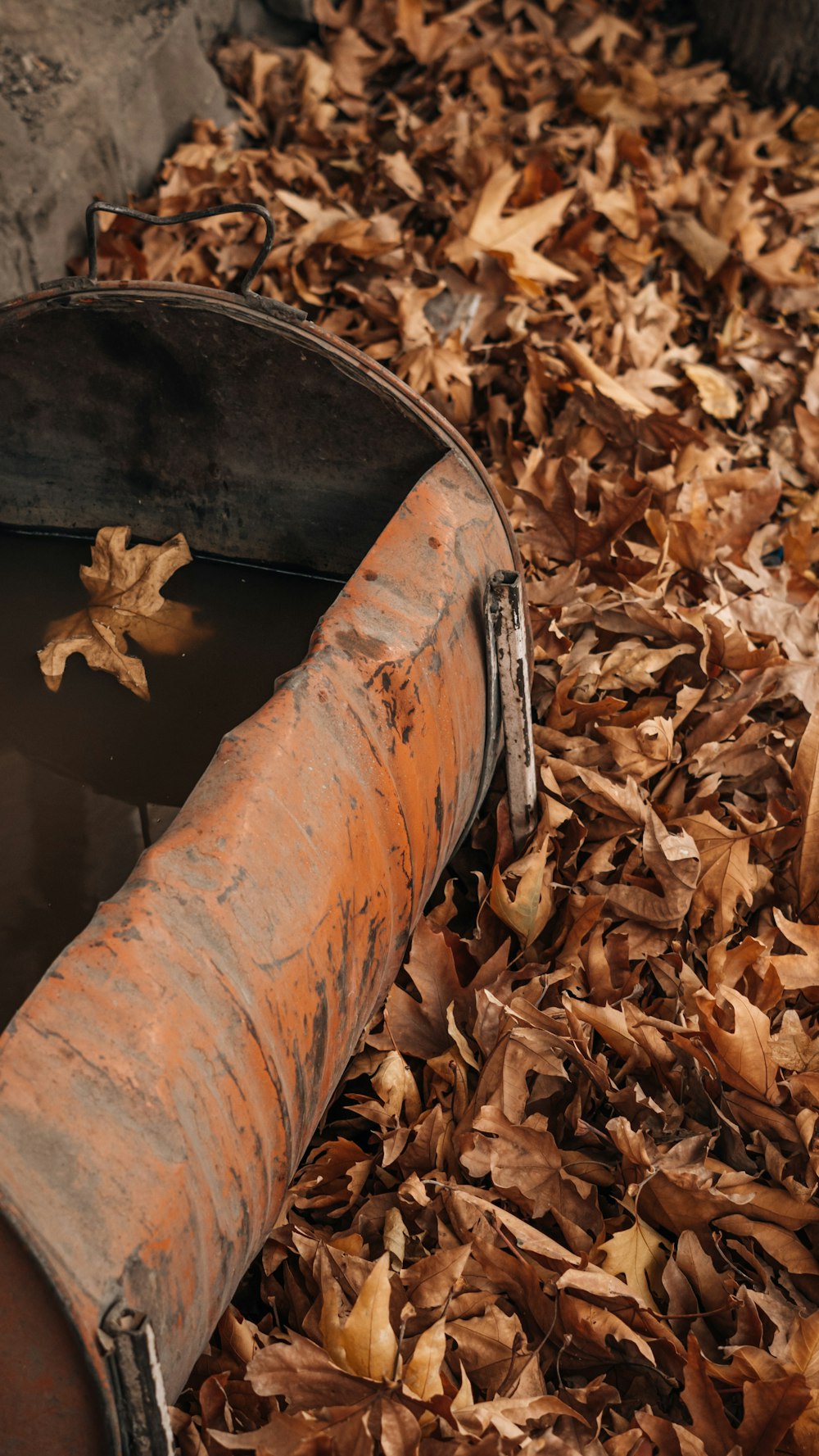 a metal barrel filled with water surrounded by leaves