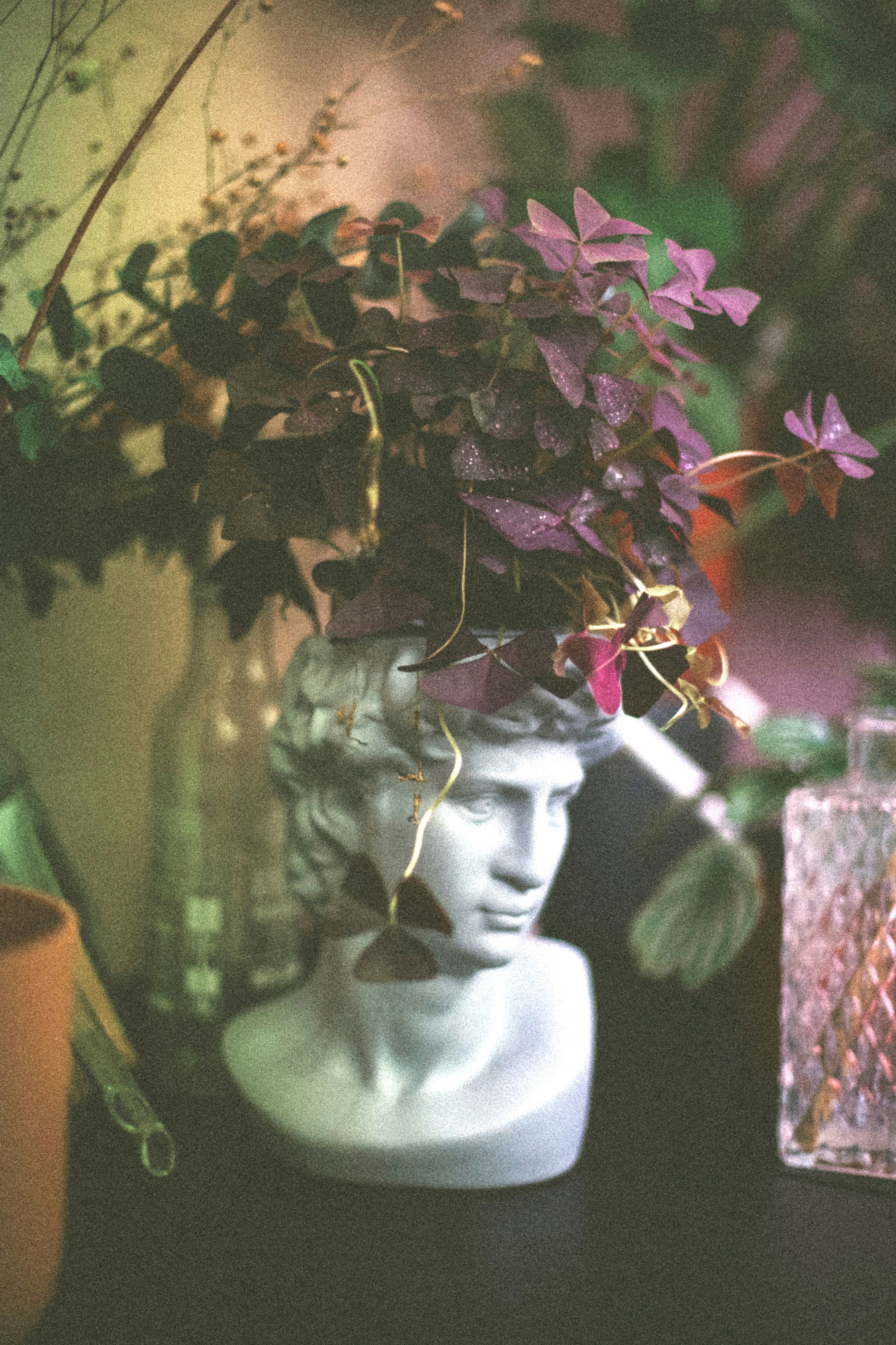 Photo by elclubdelasplantas