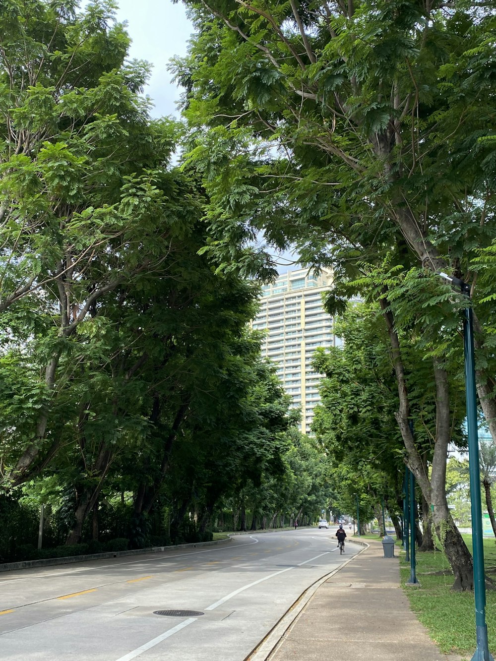 a person riding a bike down a tree lined street