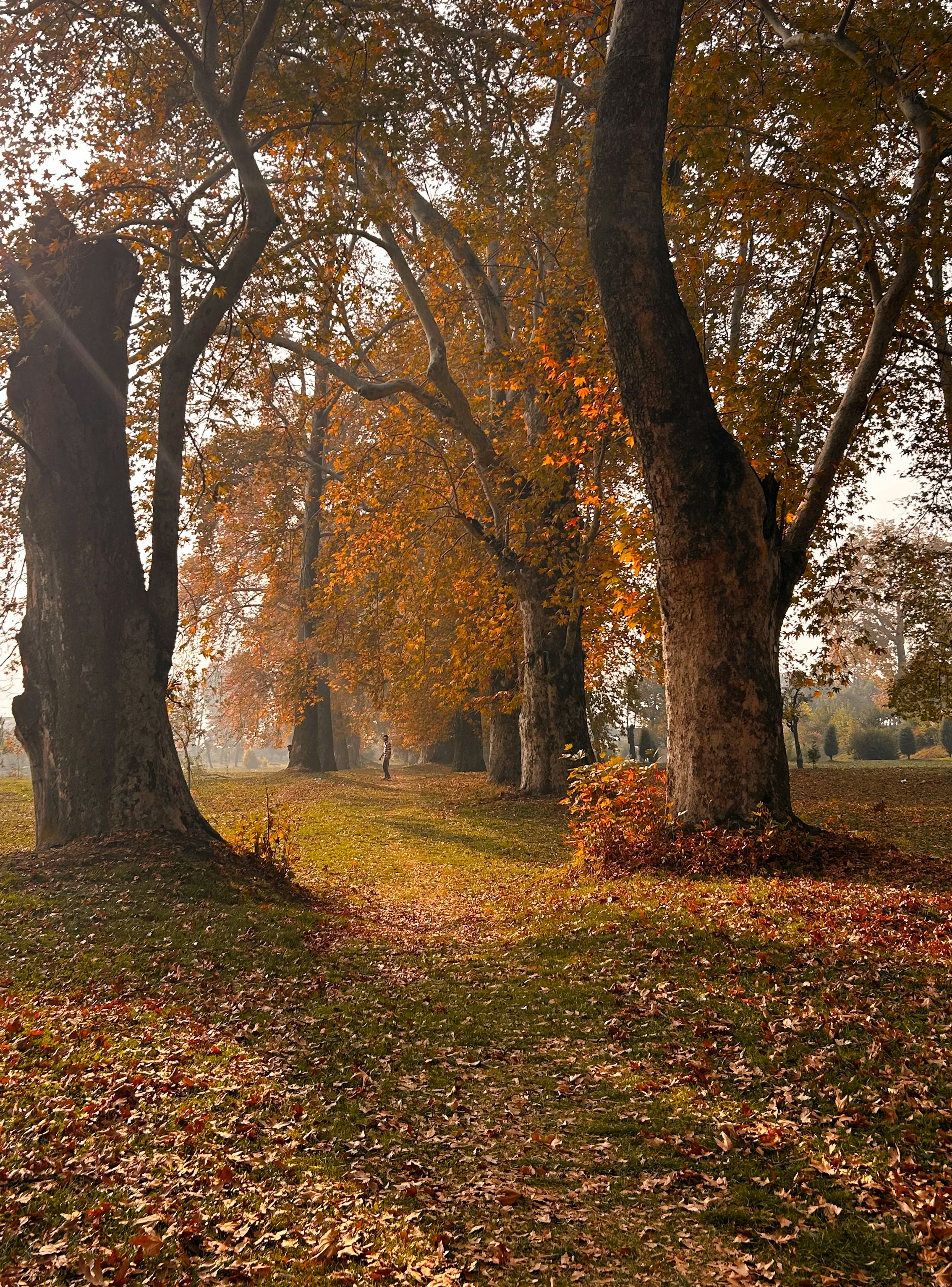 Photo by haziqfarooqi_