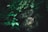 A cluster of large, rugged stones is partially hidden by dense, lush green foliage, creating a mysterious and secluded atmosphere.