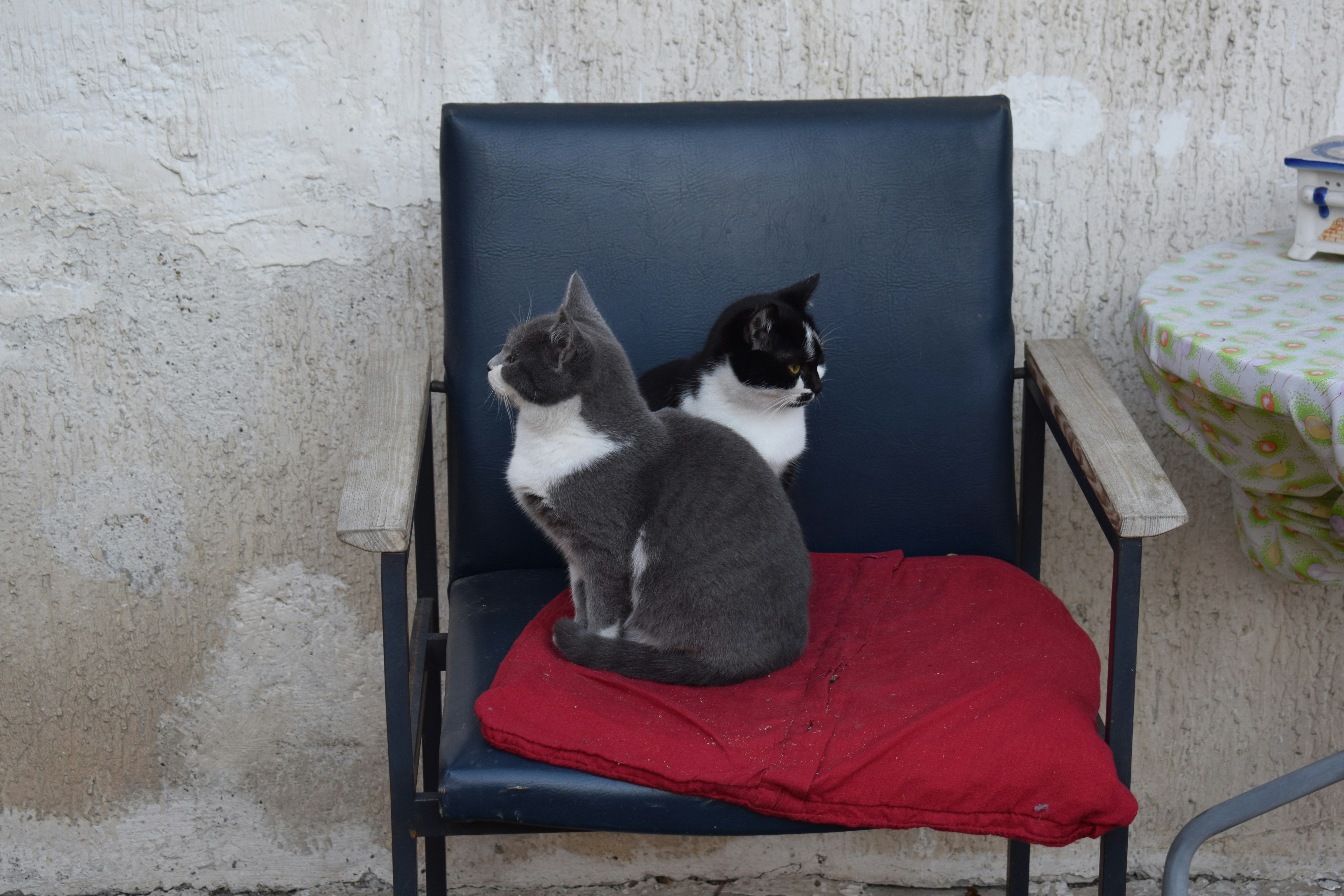 https://images.unsplash.com/photo-1700206635806-dd3235b21c42?ixid=M3w2MjYzNjJ8MHwxfHNlYXJjaHwyfHxUd2luJTIwSG9zcGl0YWxpdHl8ZW58MHwwfHx8MTc1Njg5MjAxNHww&ixlib=rb-4.1.0