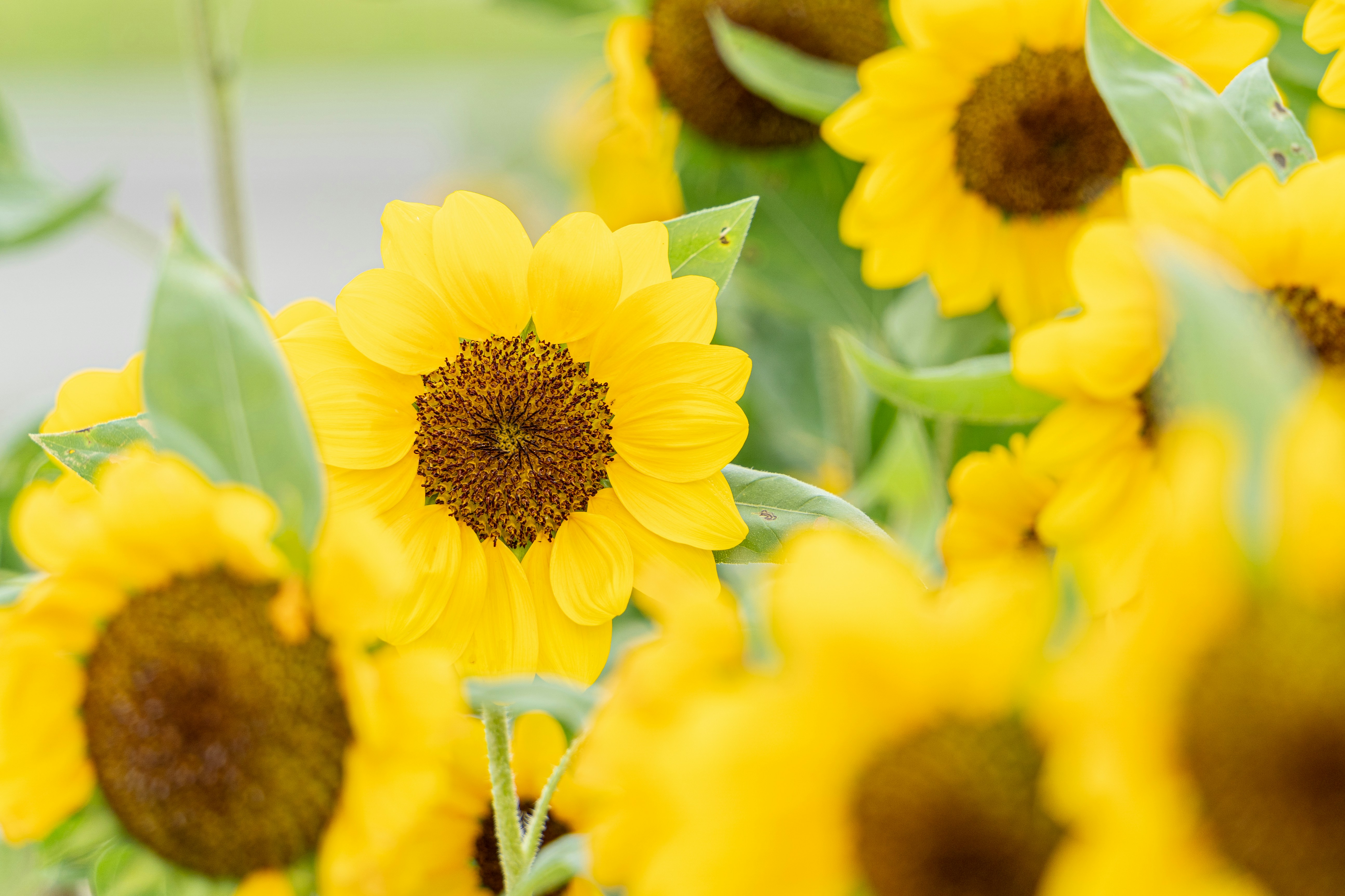 Photo by winstonchen