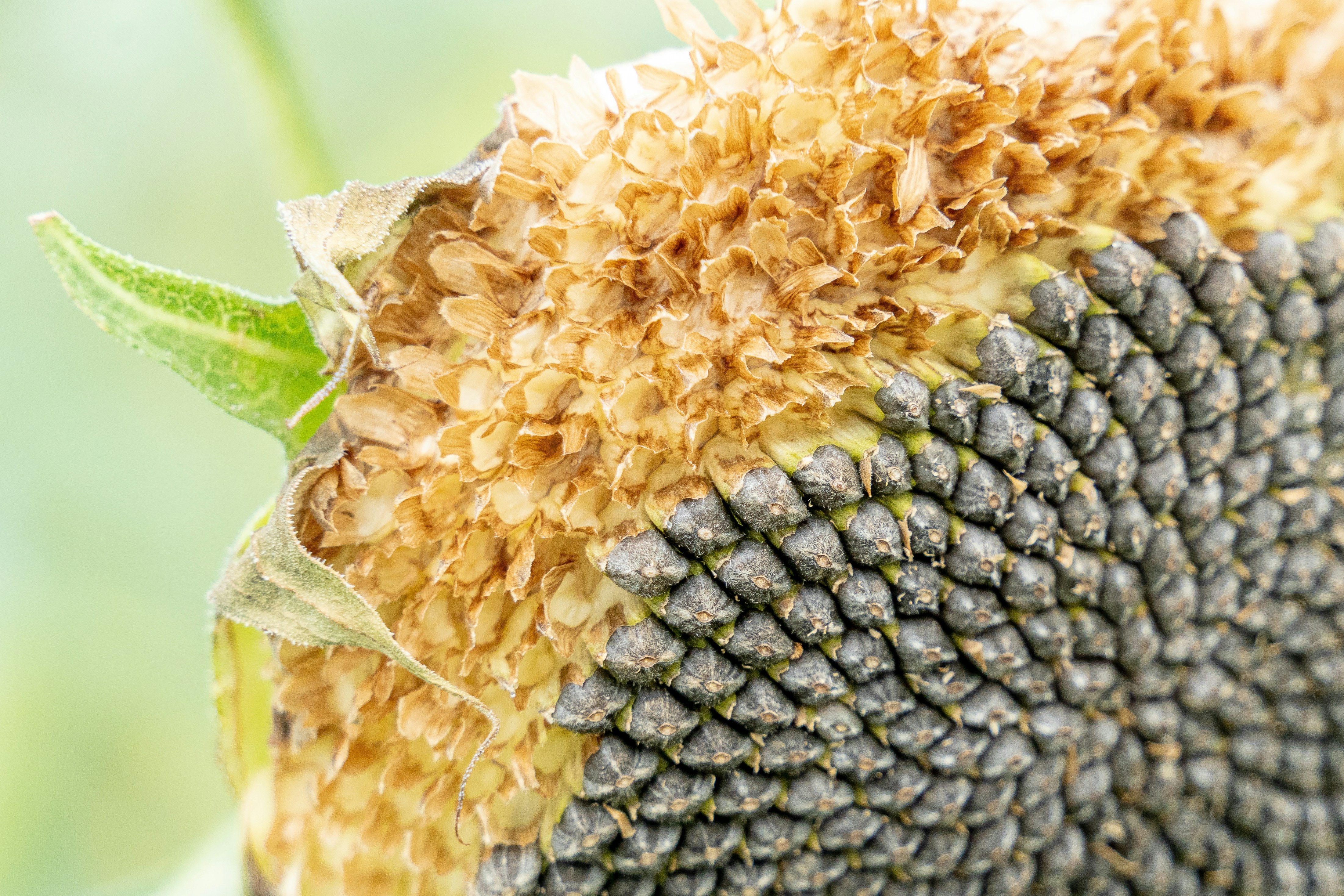 Photo by winstonchen