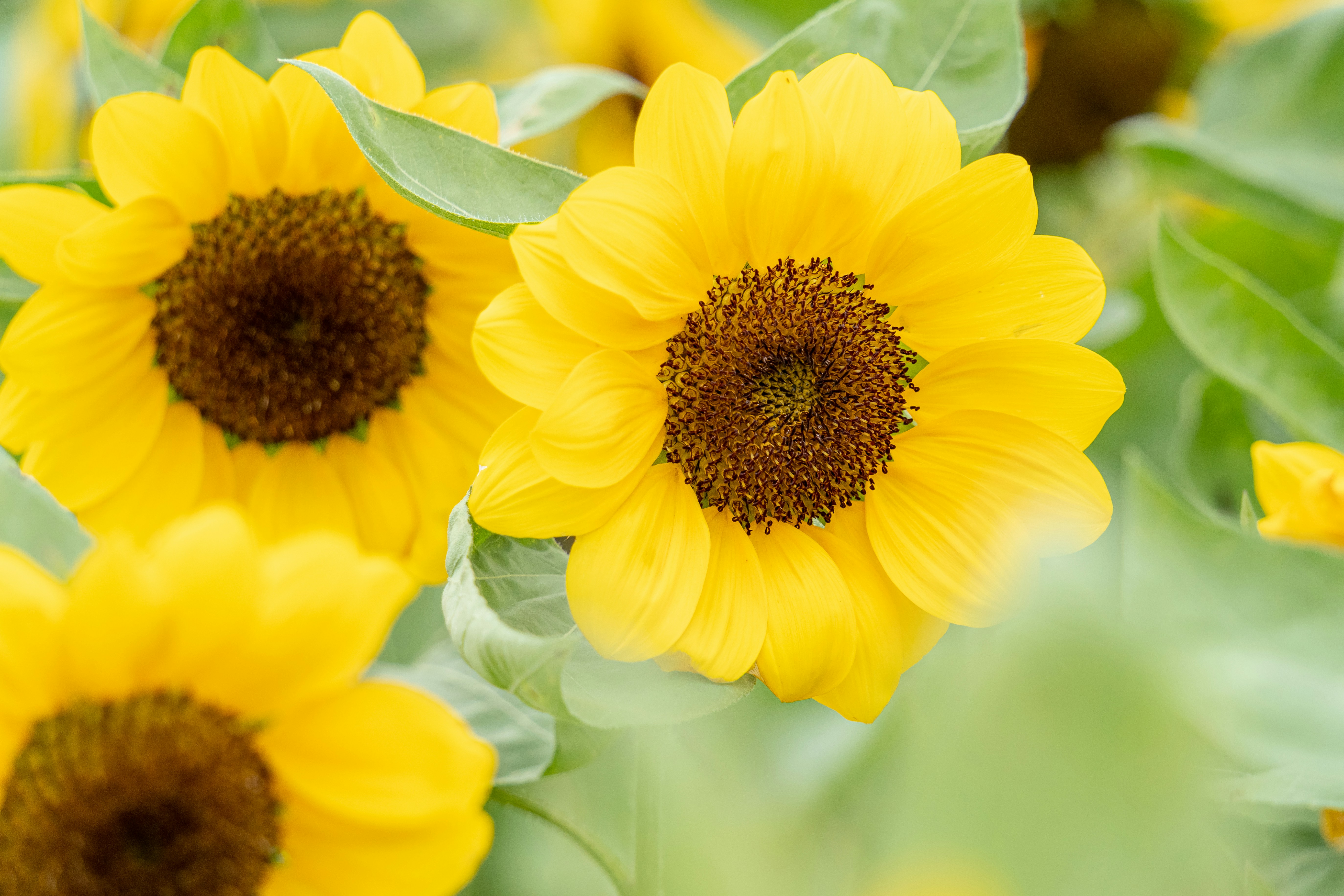 Photo by winstonchen