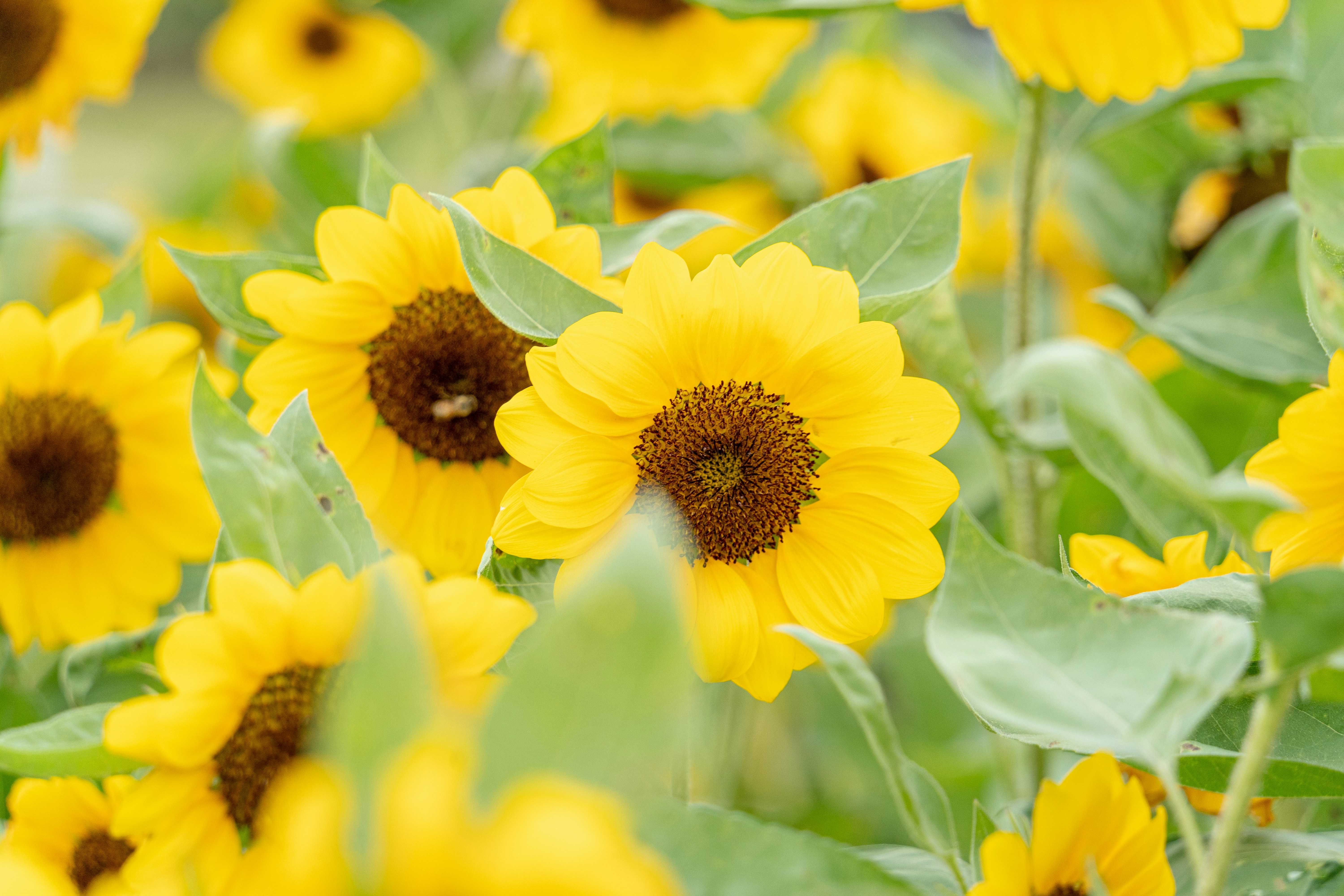 Photo by winstonchen