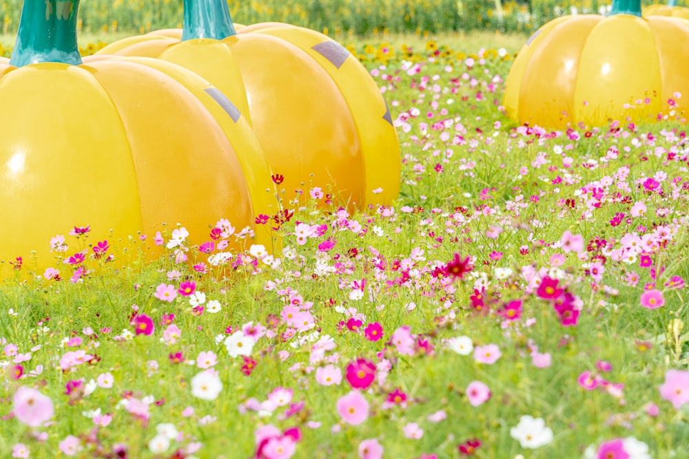 a field of flowers with a row of yellow pumpkins in the middle