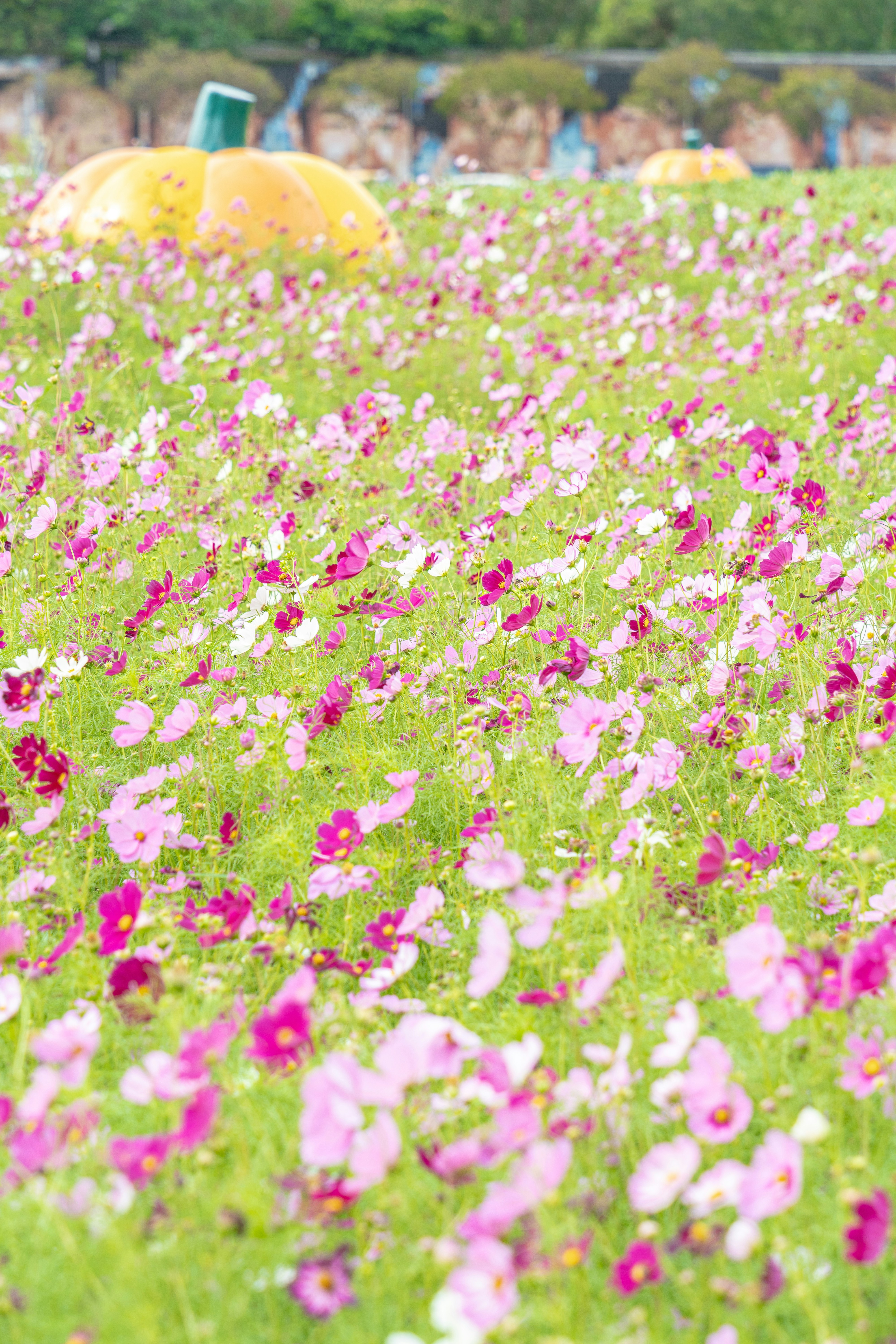 Photo by winstonchen