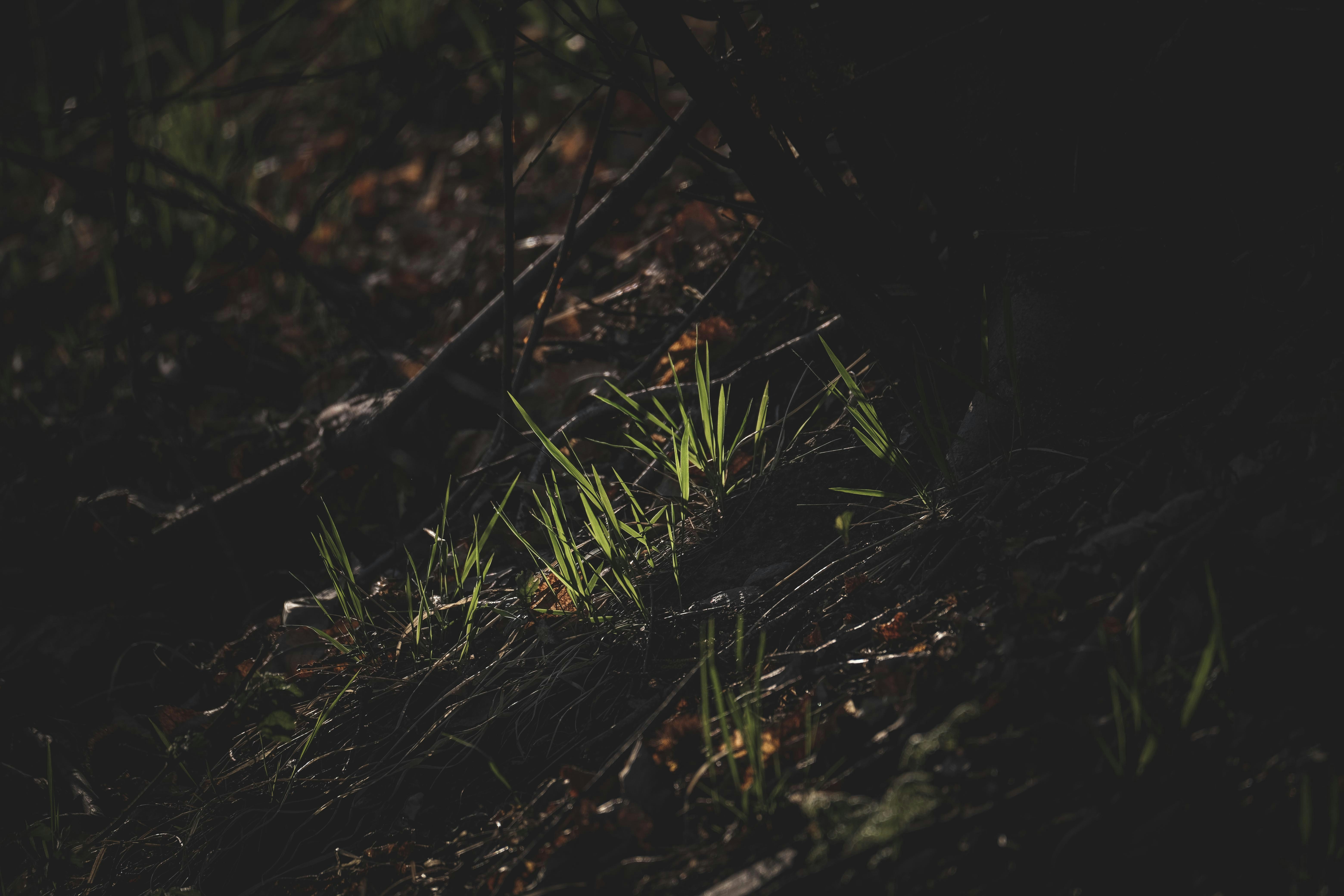 Photo by francesco_ungaro