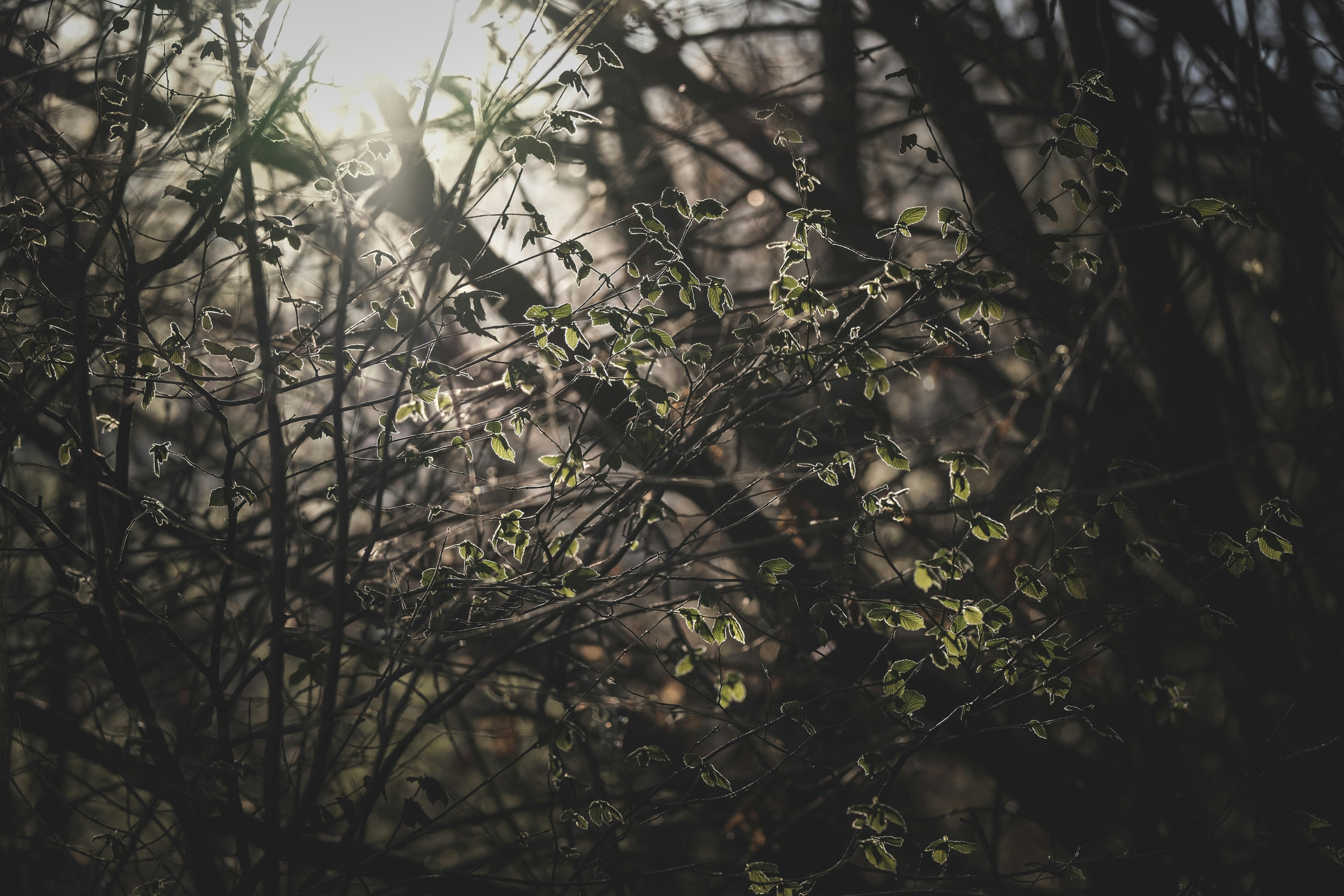 Photo by francesco_ungaro