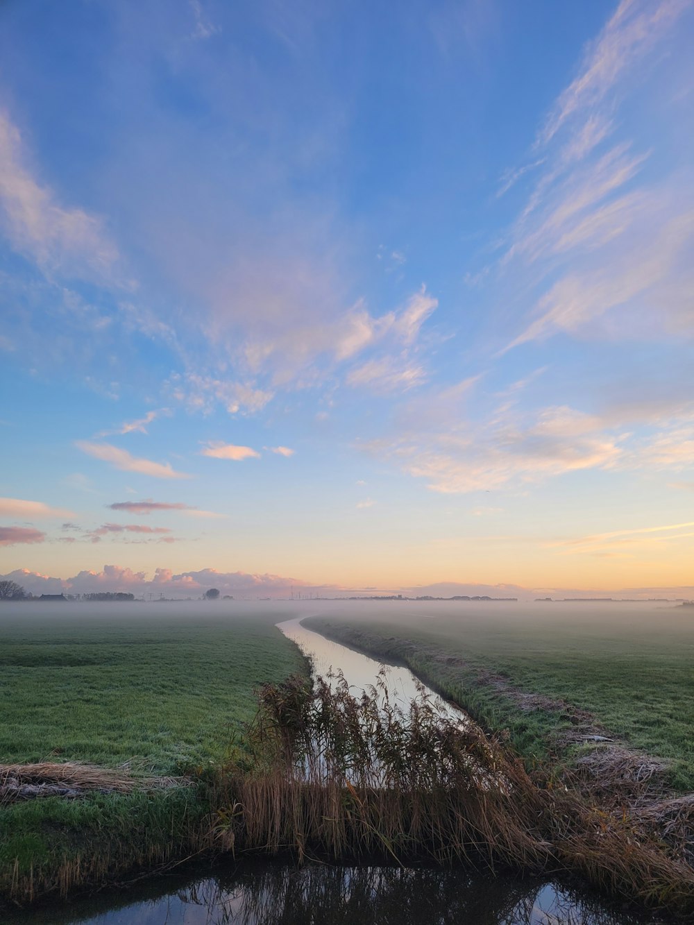 a river running through a lush green field