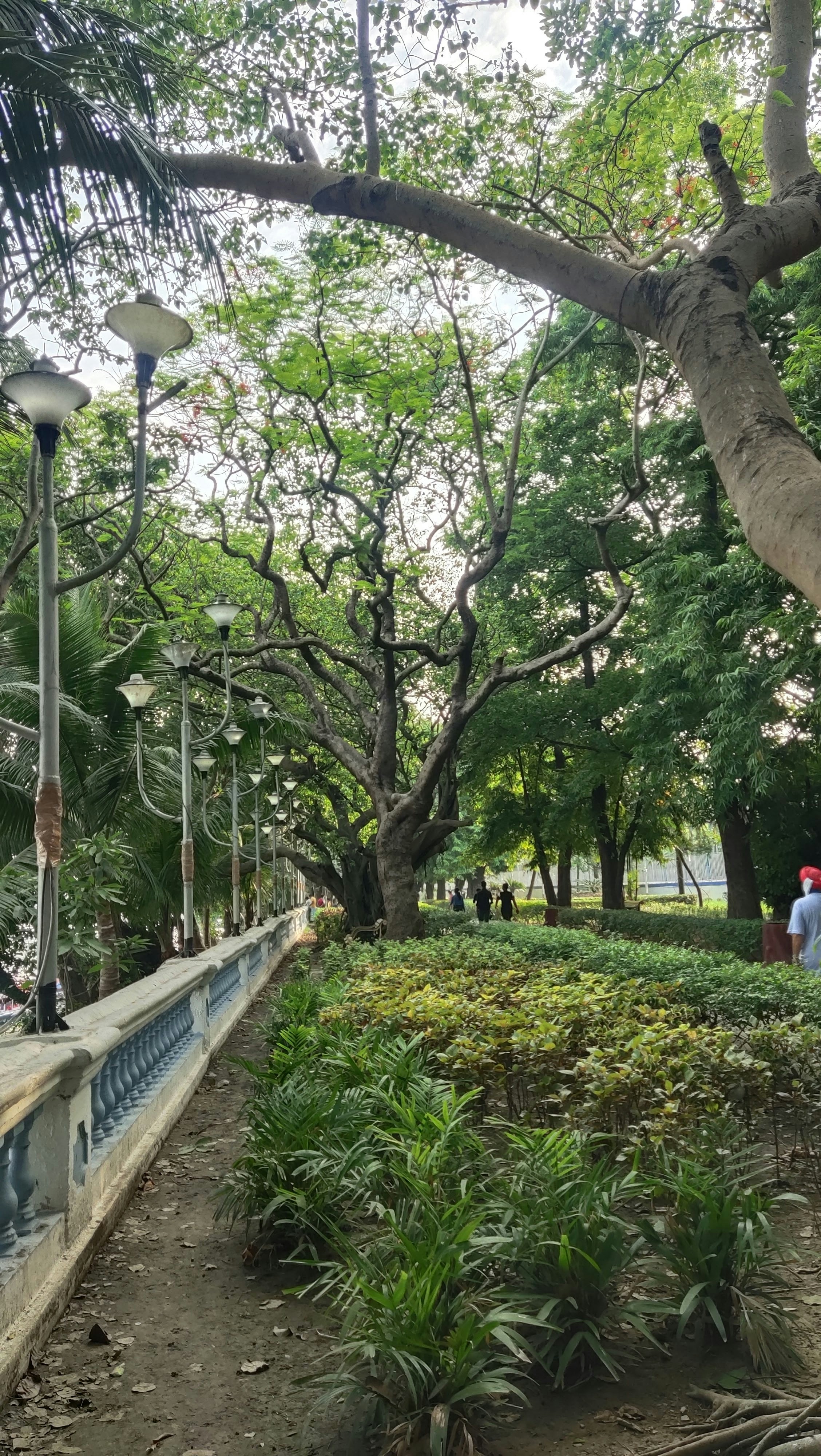 Photo by nasirshamim