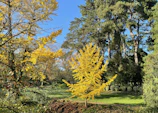 Volunteers planting trees in a vibrant neighborhood park.