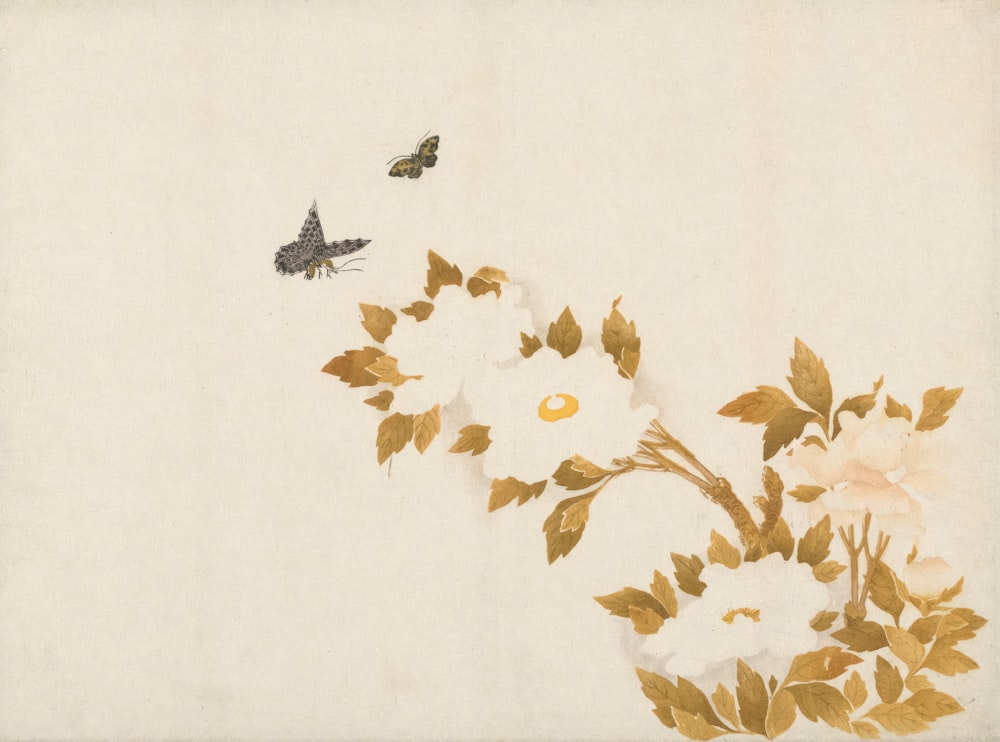 a painting of flowers and a butterfly on a white background